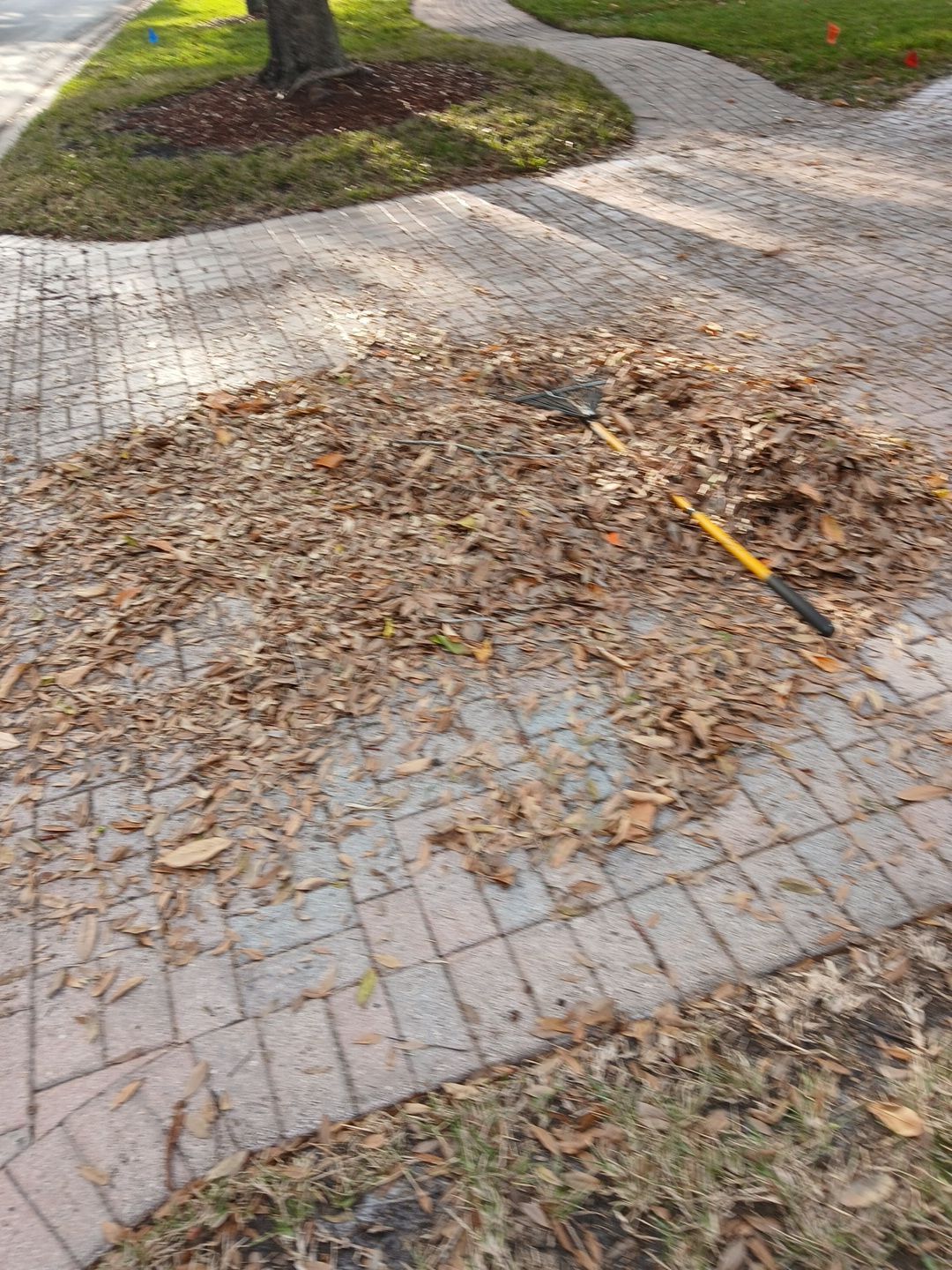 🌴✨ HAMMOCK CREEK SIGNATURE CLEANUP — THE ALPHA ZETA WAY ✨🌴 by Alpha Zeta Enterprises Inc