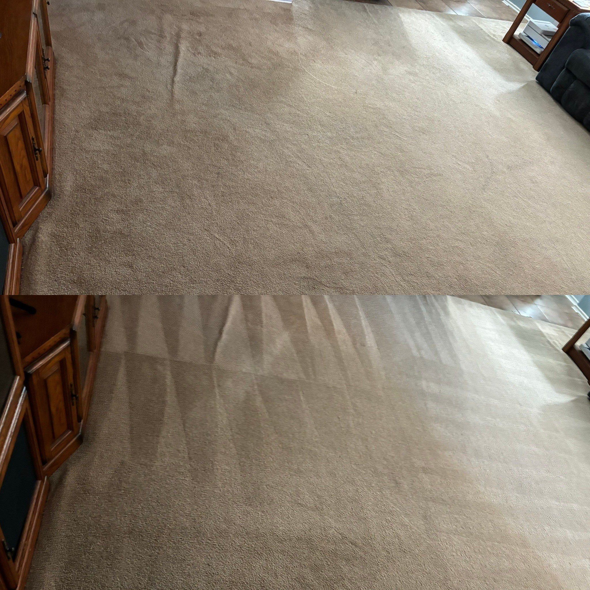 the service shown is carpet cleaning resulting in a noticeably cleaner and refreshed carpet texture and appearance