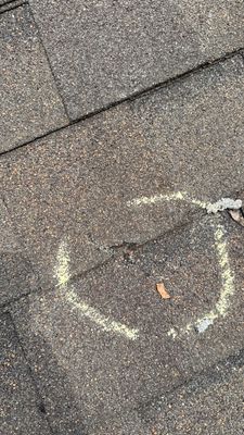Turtle Shell gutter protection installation in Naperville, IL 60563, photograph 30