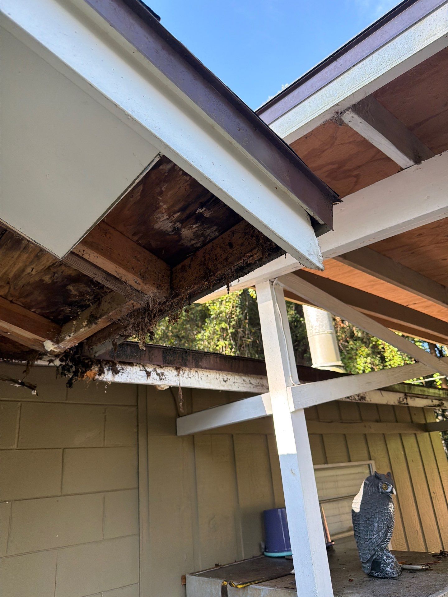 Sorrento Residential Fascia Repair and Soffit Wood Rot Restoration by Fortified Roofing Solutions Corp.