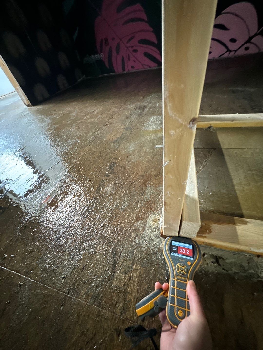 Project in Royal Oak by EzDry Water Mitigation & Property Restoration