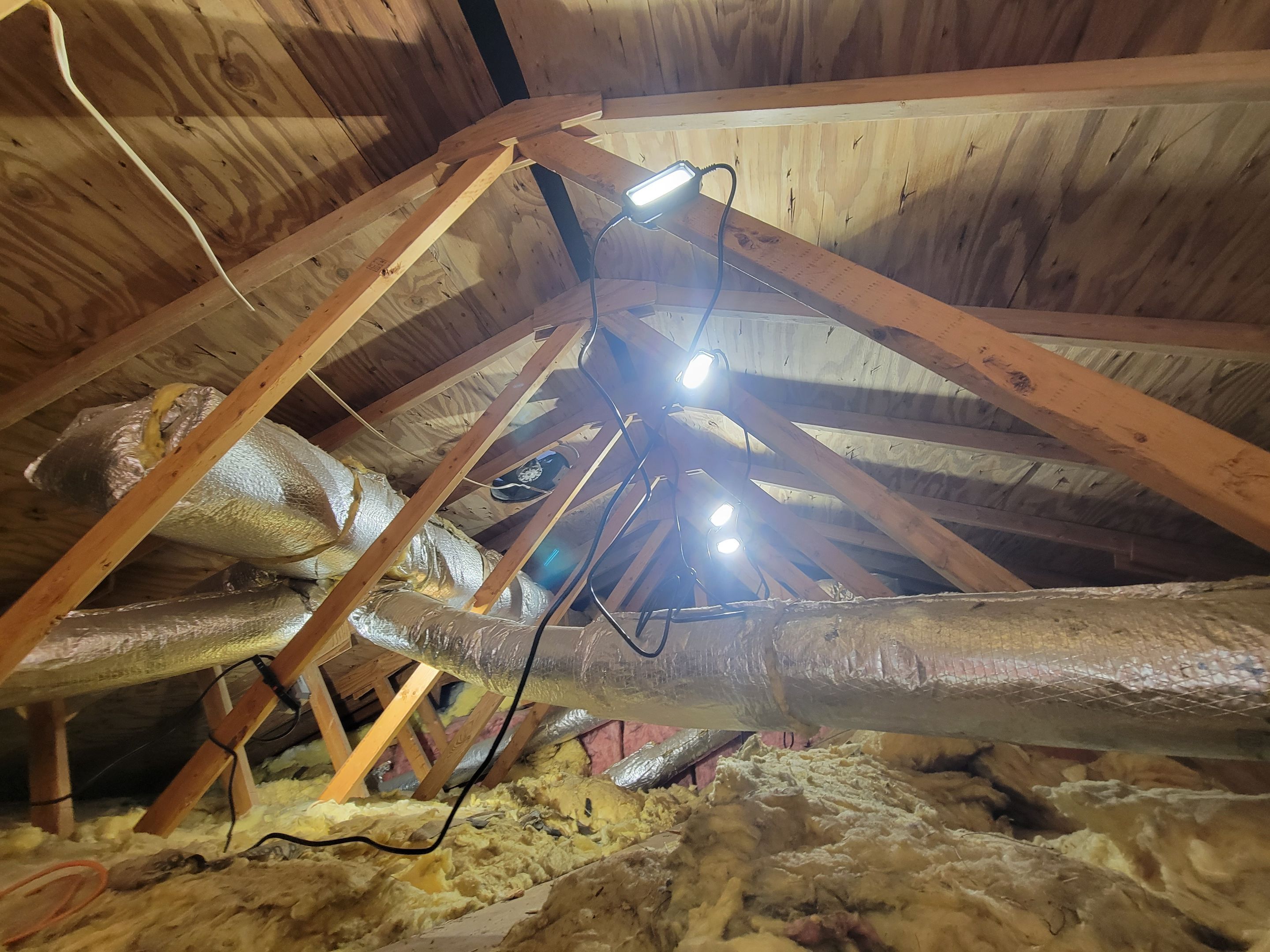 Attic Mold Remediation by Chicagoland Water Medics