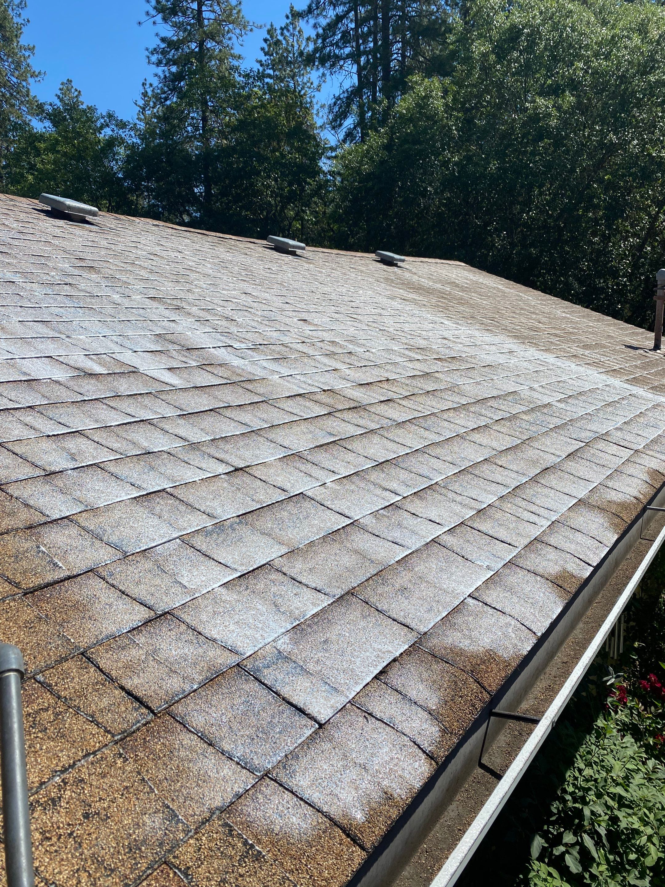 Project in Grants Pass by Roof Maxx of Grants Pass