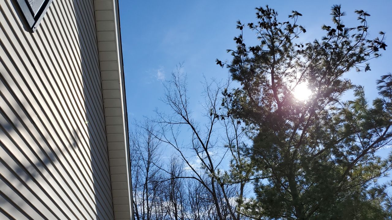 Tree Removal using Tree Removal by Mike Jones & Sons Tree Service LLC 