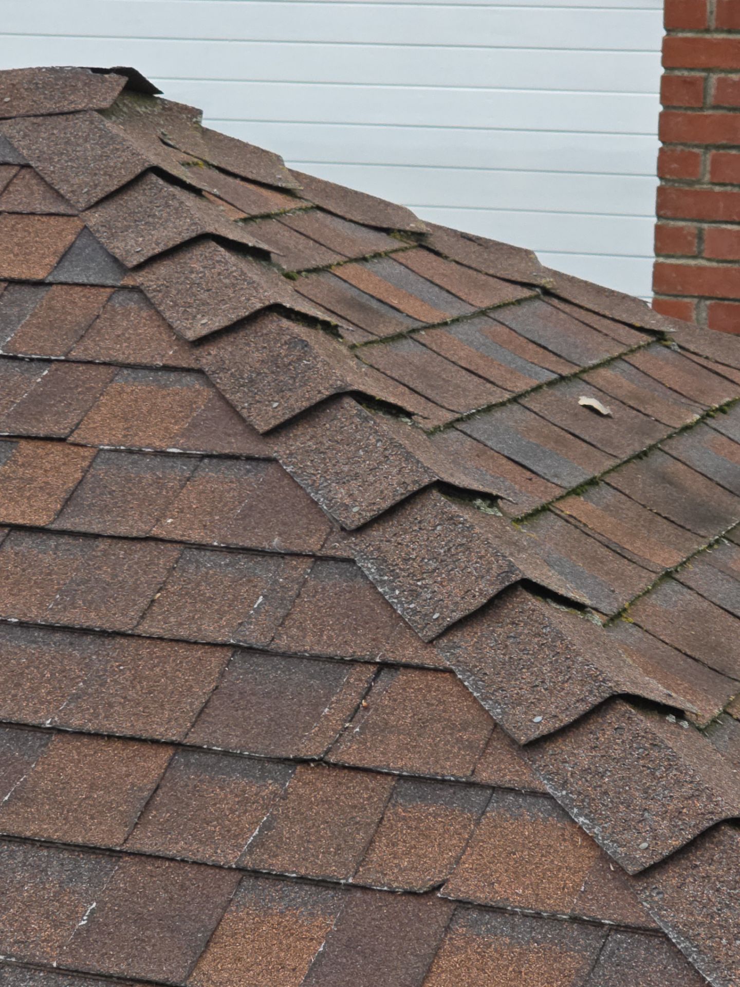 Roof Rejuvenation using Roof Maxx Treatment by Roof Maxx of Folsom