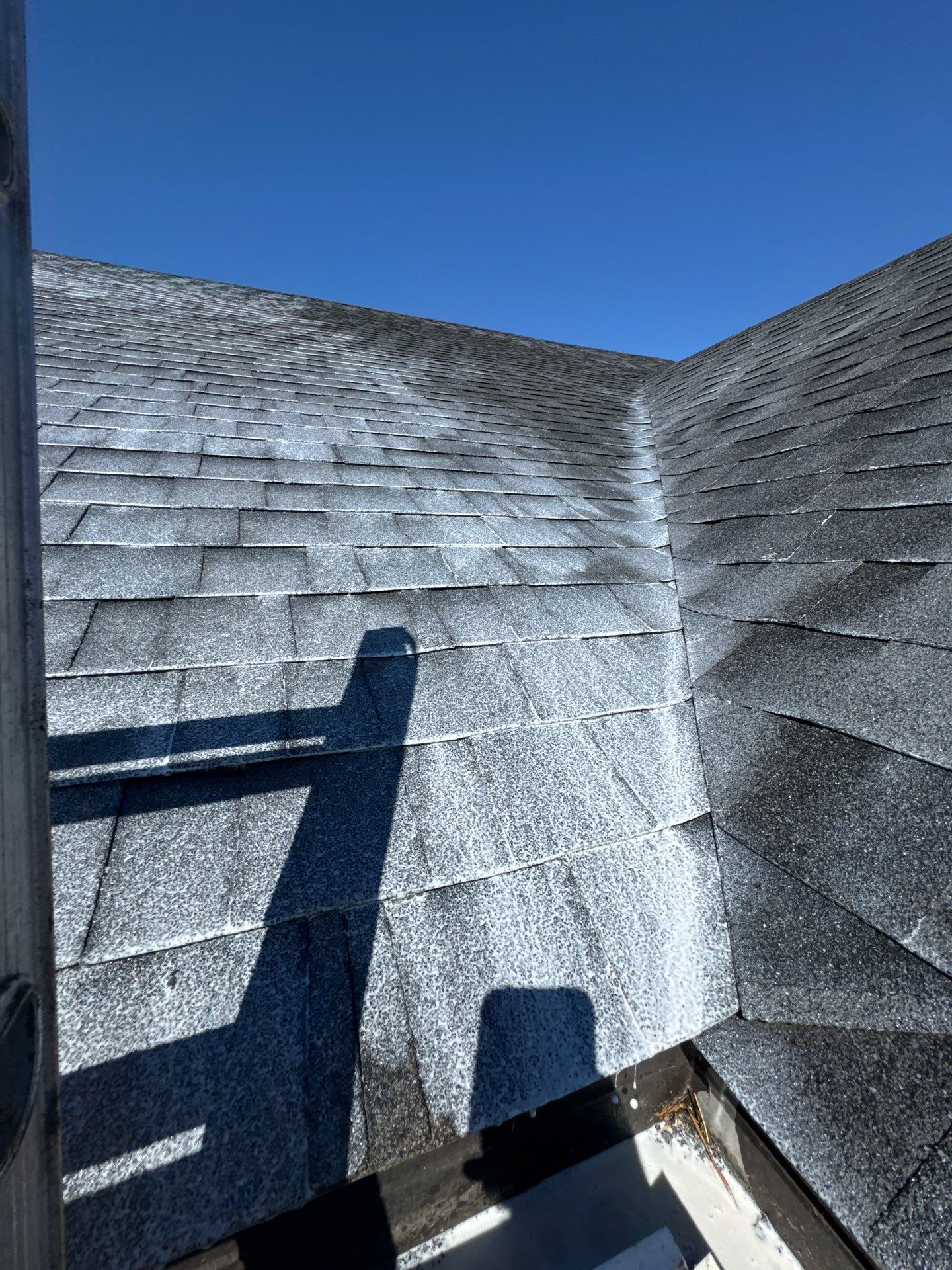 Project in Junction City by Roof Maxx of Grants Pass