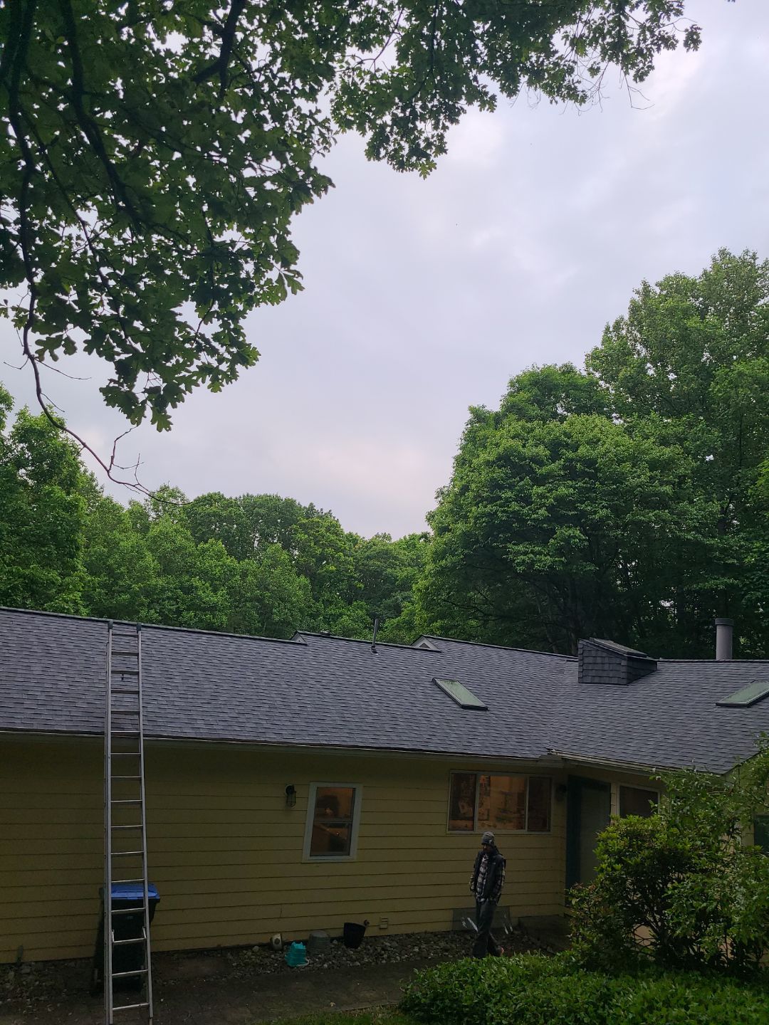 Oakton: Roof Replacement With CertainTeed Landmark Designer Shingles in Pewter by RM Banning, Inc.