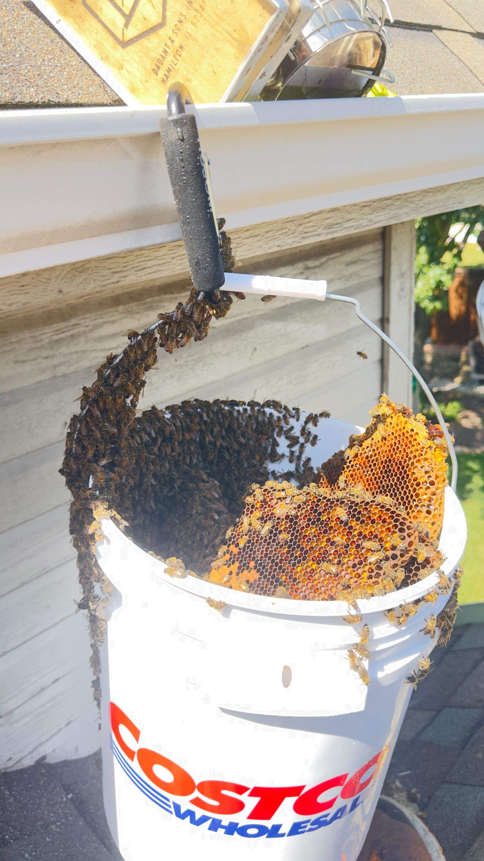 Rooftop by Rockwall Honey Bee Company