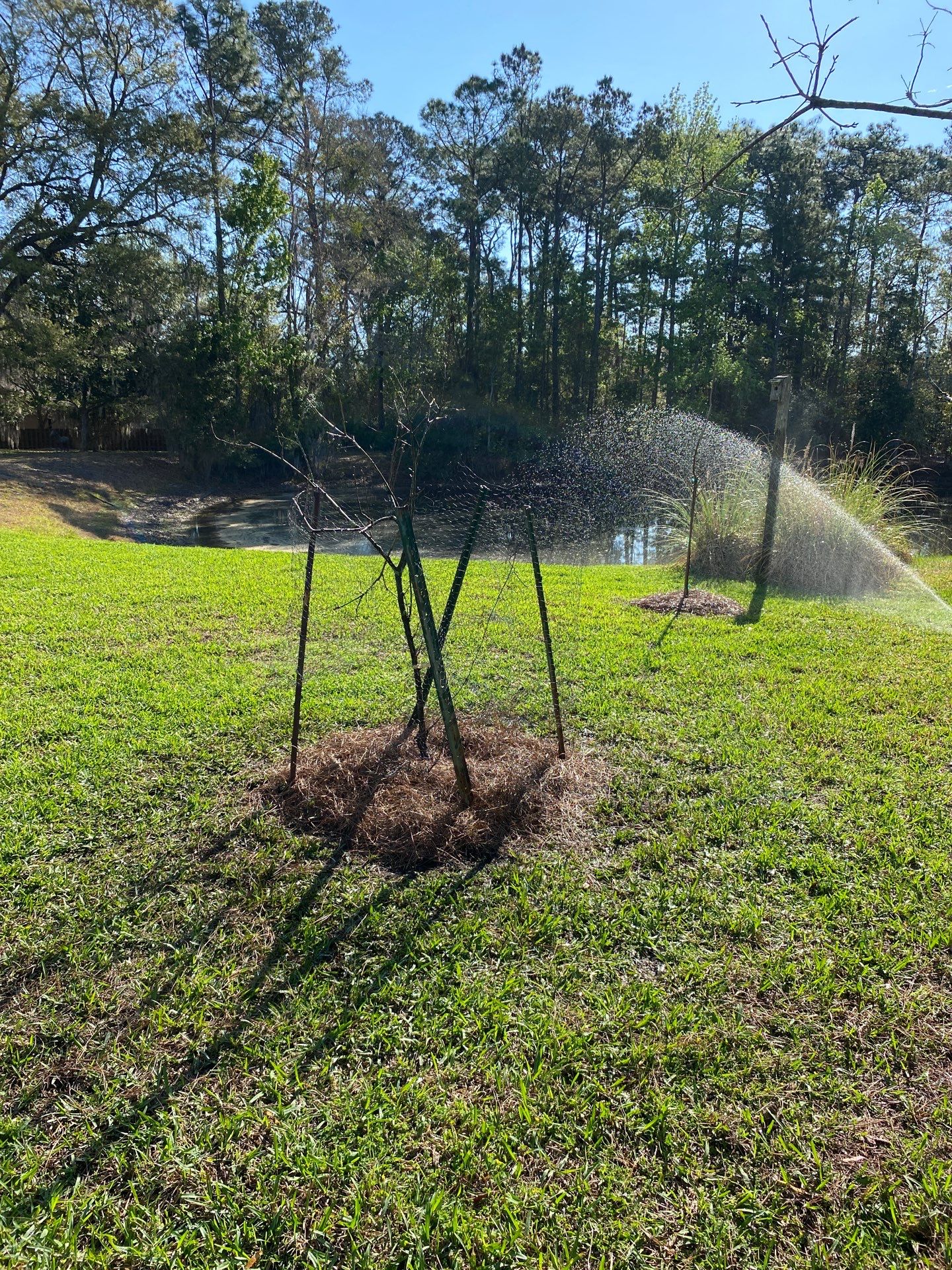 Deerwood Resident | Landscaping by ProGreen Services