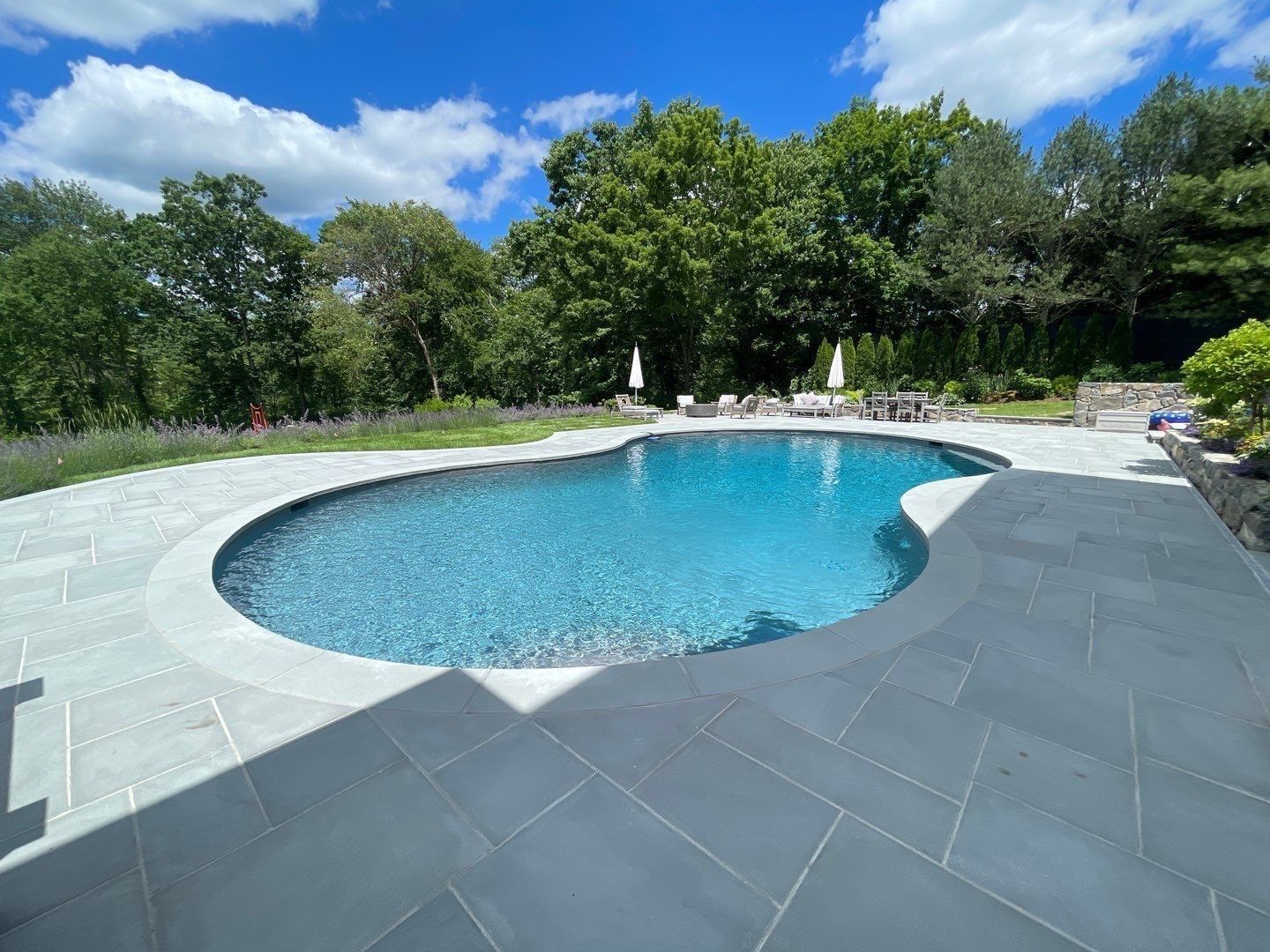 Reno Gallery by Signature Pools