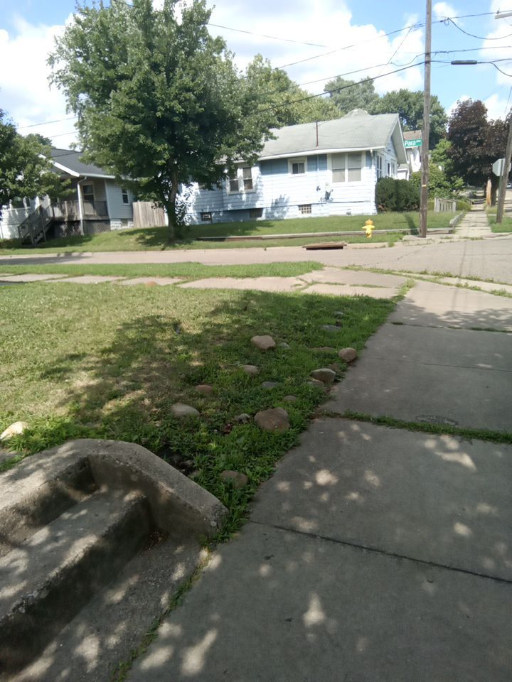Tree Removal using Tree Removal by Mike Jones & Sons Tree Service LLC 