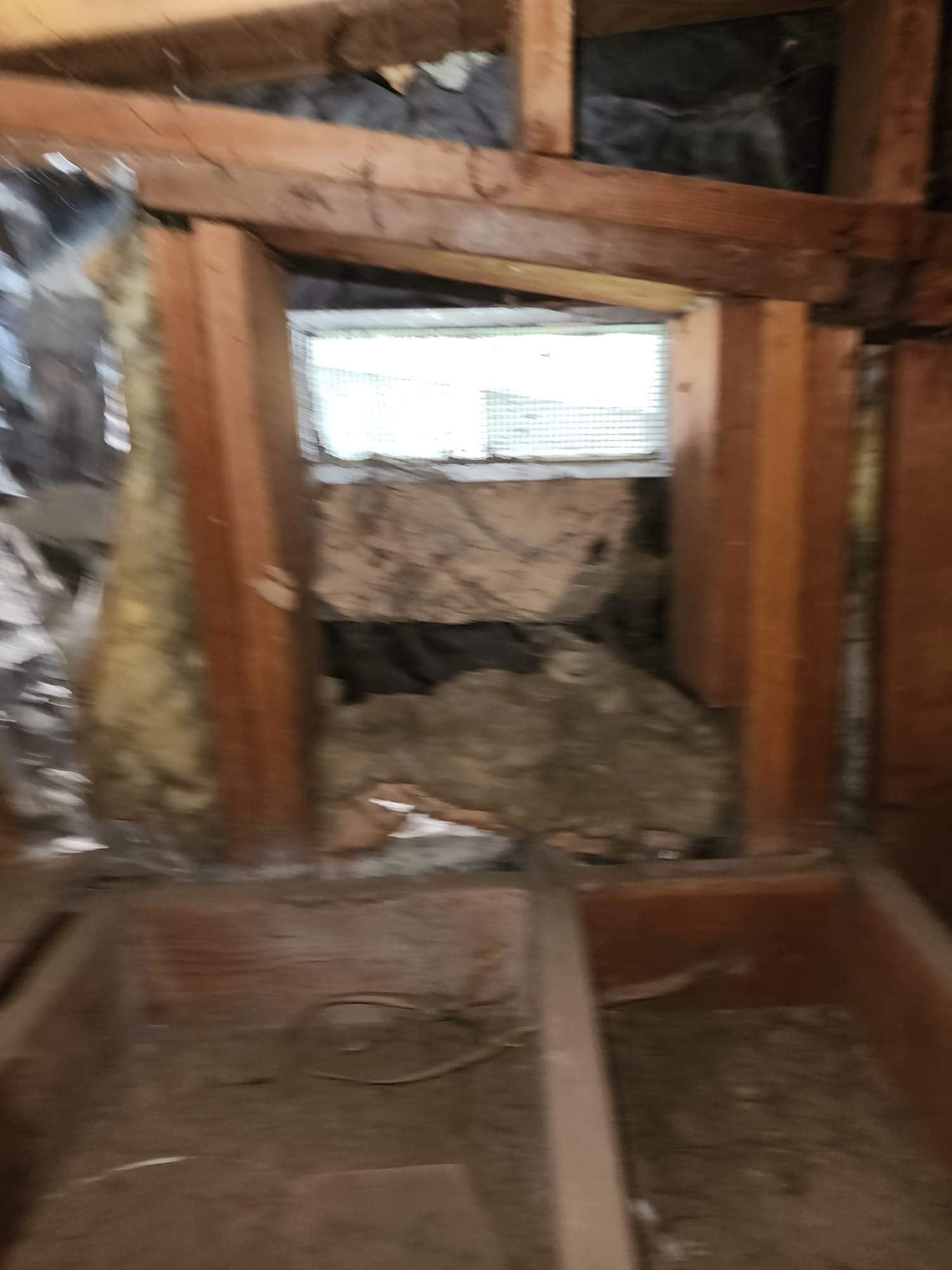 Project by Advanced Attic Solutions by Advanced Attic Solutions