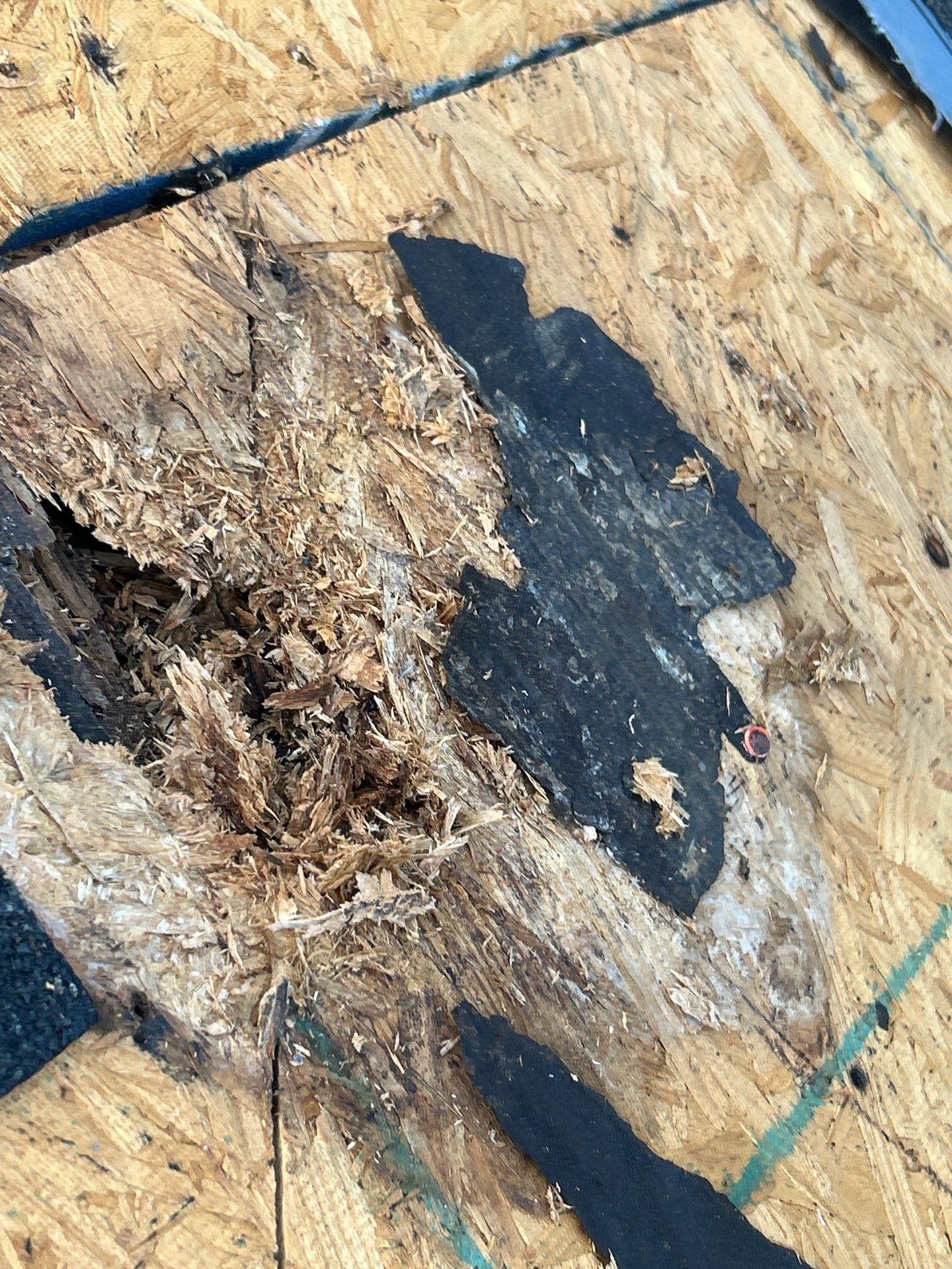 Roof Repair Spring by Roof Repair Company