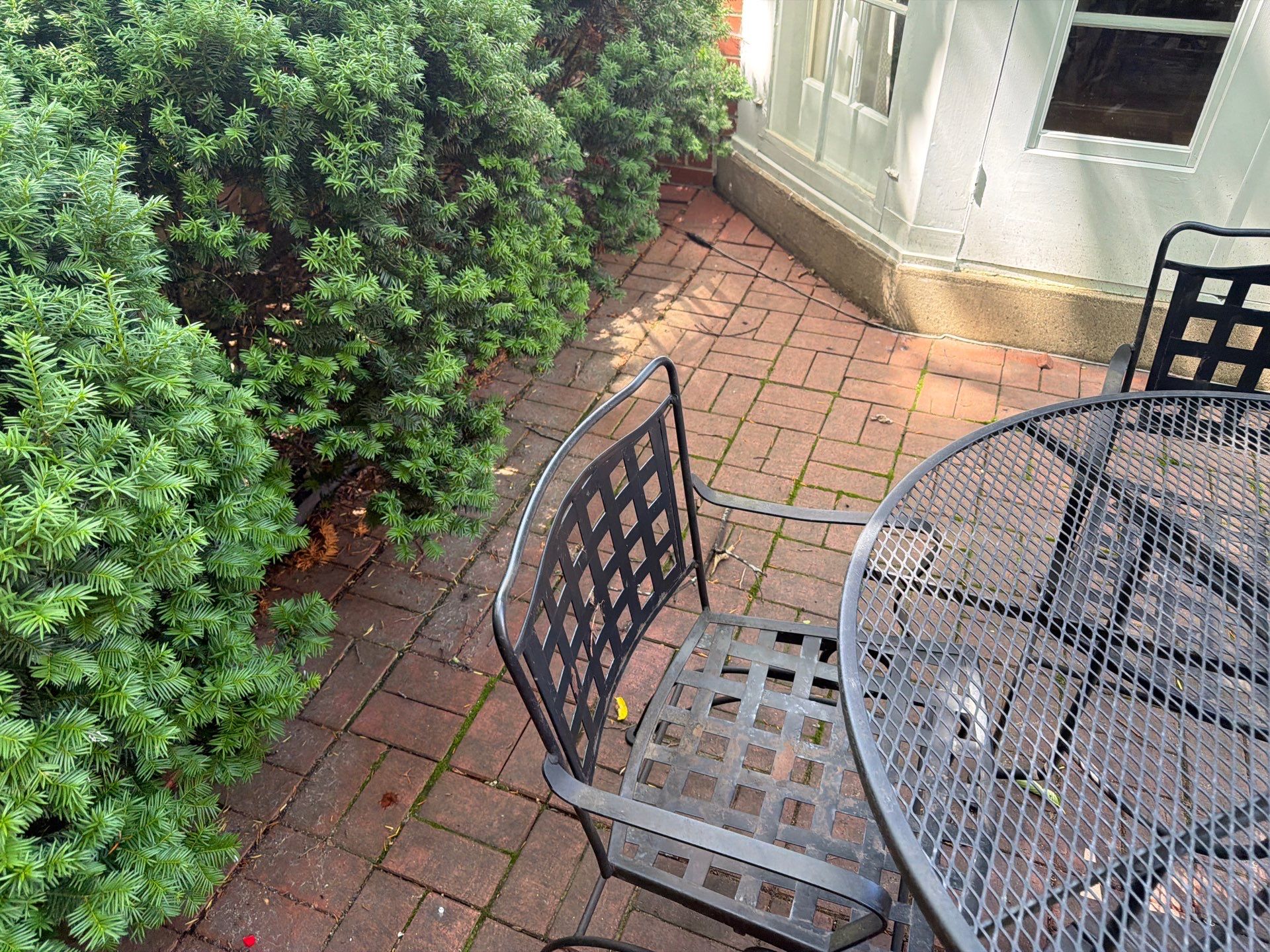 Brick Paver cleaning, sanding, seal by Northern Power Washing LLC.