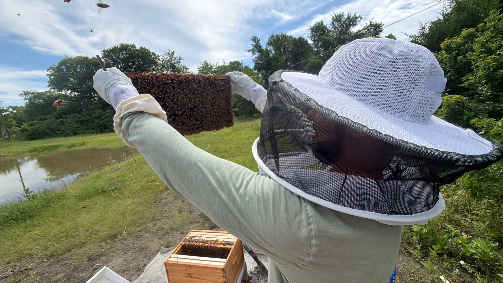Hometown New Beek by Rockwall Honey Bee Company