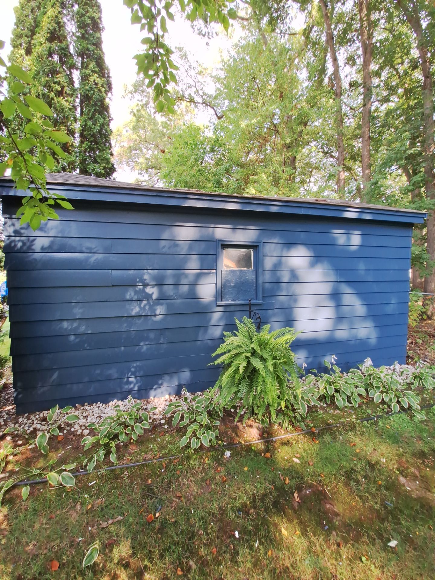 Deck and Shed Re-paint by Gordon Painting