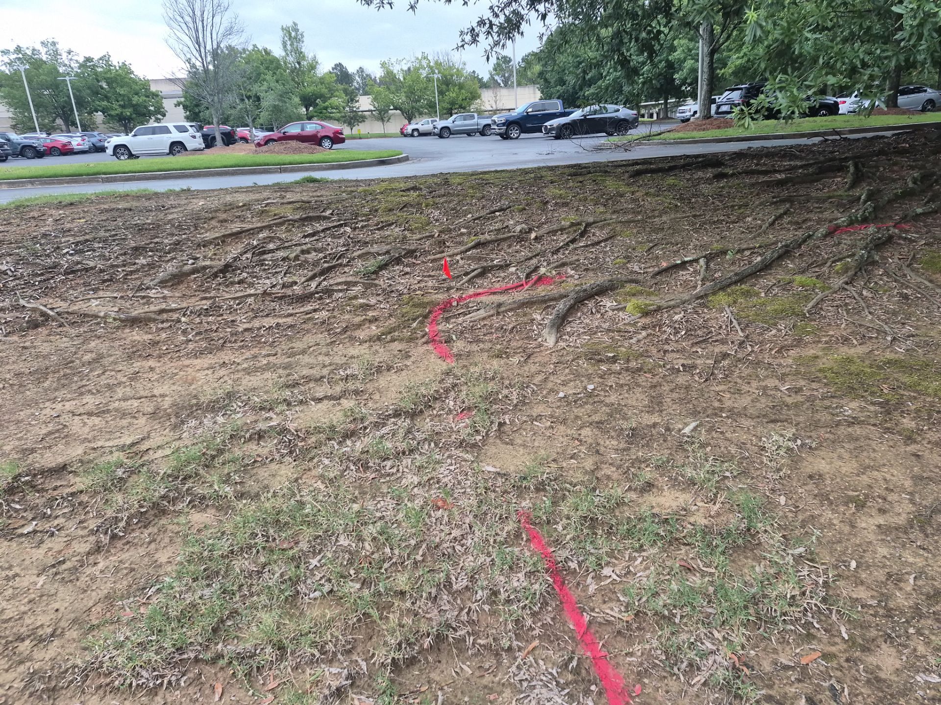 Private Utility Locating and Marking for Collierville Commercial Campus by Alsip Locating Service, LLC