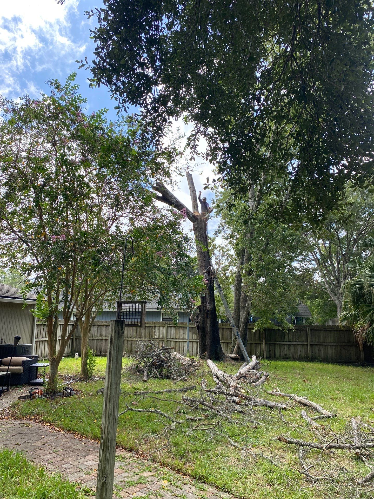 Tree Removal | Residential by ProGreen Services