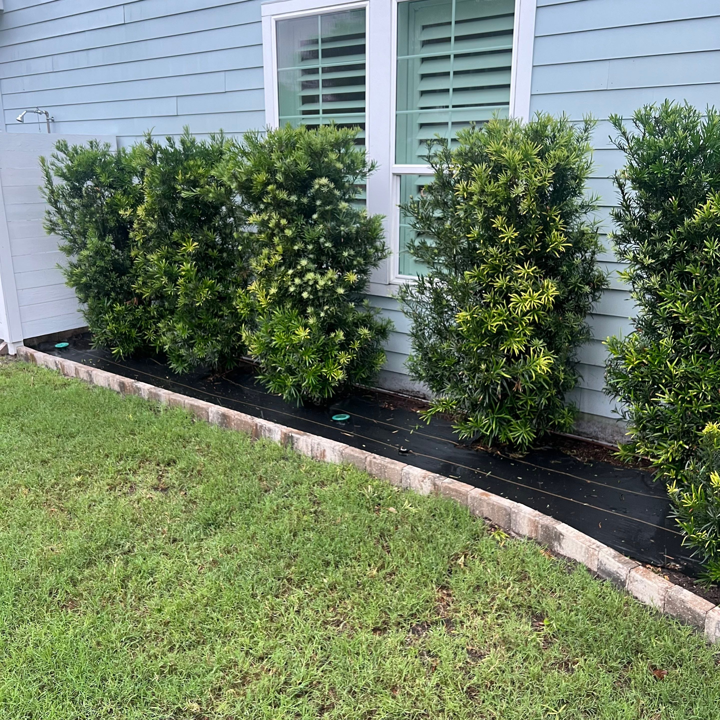 Rock & Agave Installation | Residential by ProGreen Services