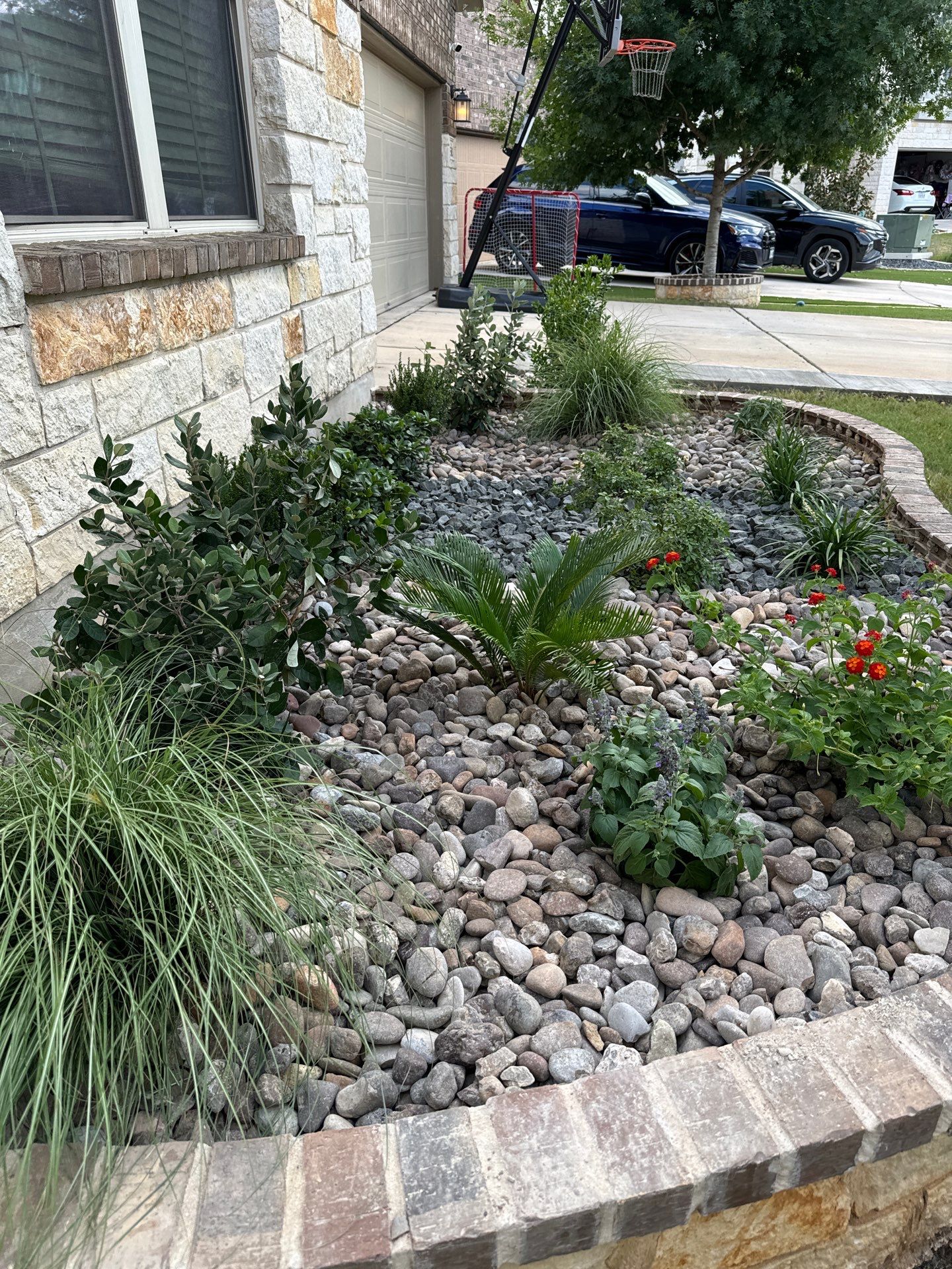 Wortham Oaks - San Antonio, TX by Hole In One Lawns, LLC