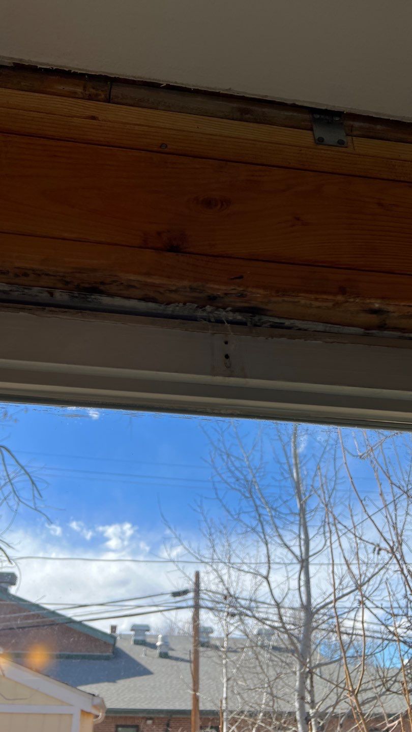 Mold Remediation  by Accountable Home Services