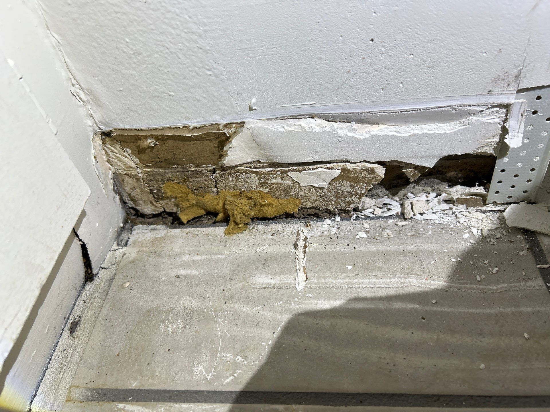 Mold Remediation In Sarasota by Ampm Restoration Services