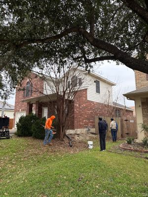 Project in Austin