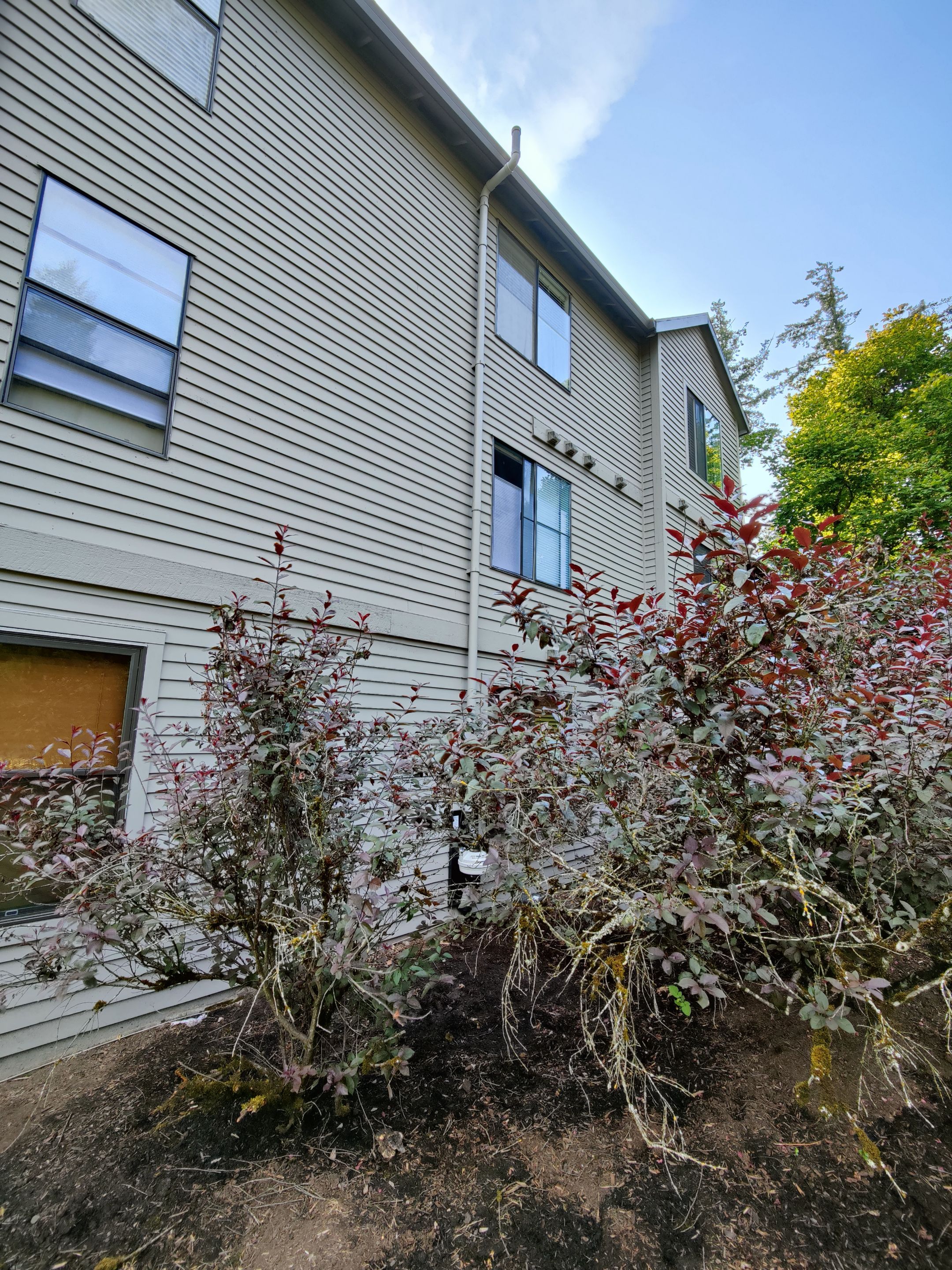 Project in Lake Oswego by JustRadon.Com