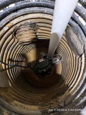 Zoeller M53 Sump Pump Replacement – Algonquin, IL | GSHA Services, LTD