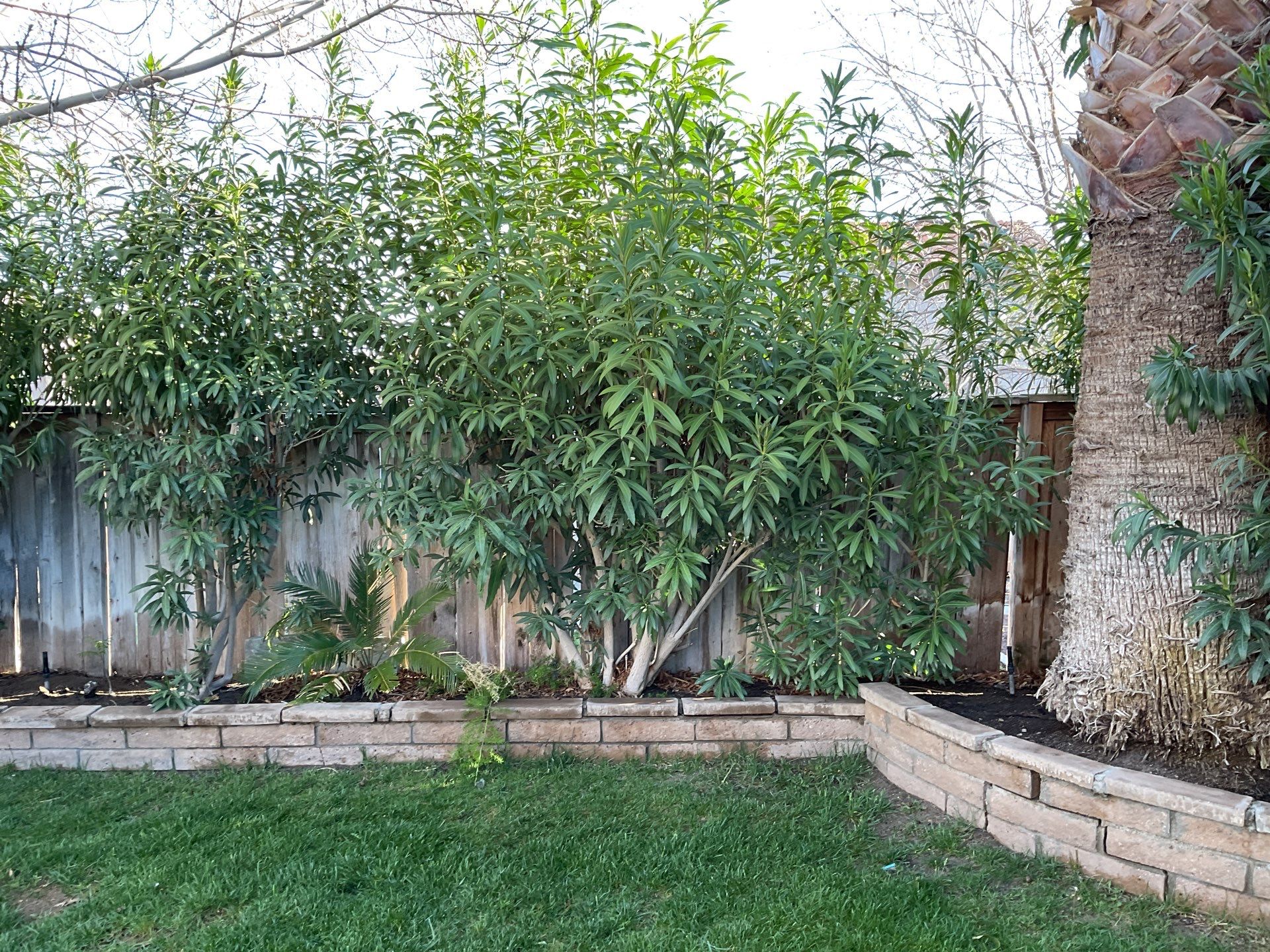 Fence Installation using Vinyl by Fence Guys Inc.