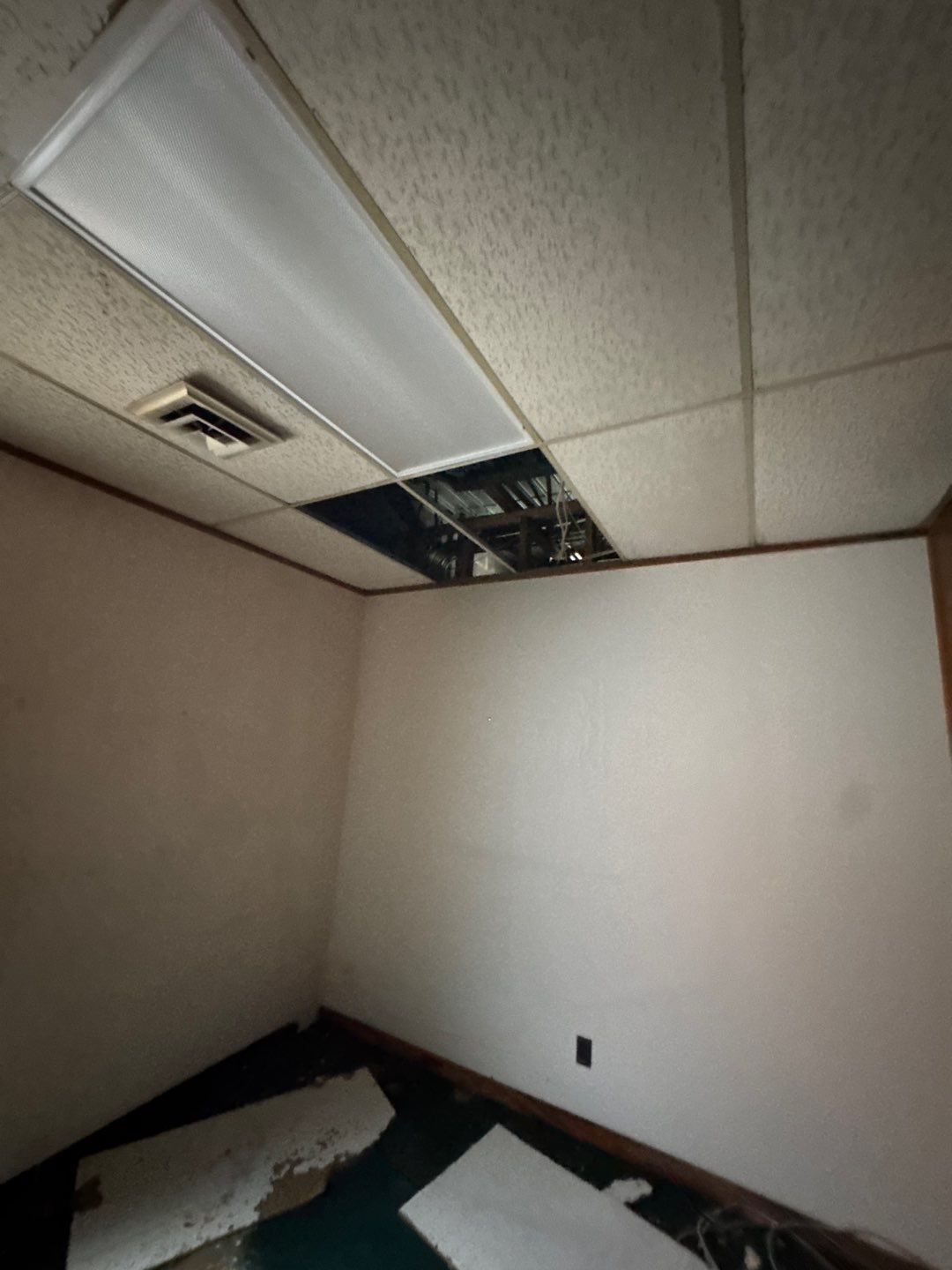 Project in Royal Oak by EzDry Water Mitigation & Property Restoration