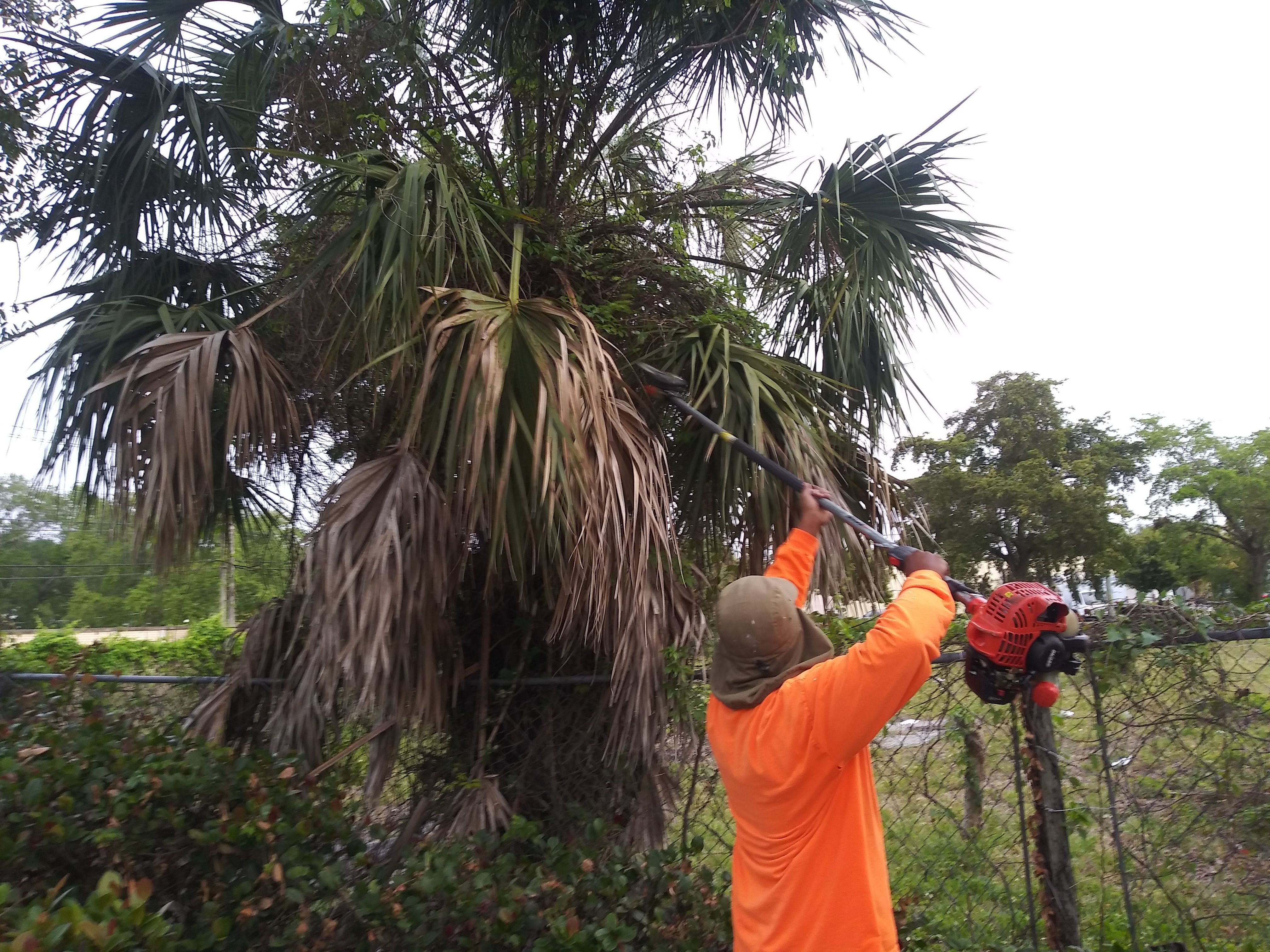 General Maintenance by
M.A.B. Landscaping & Property Maintenance