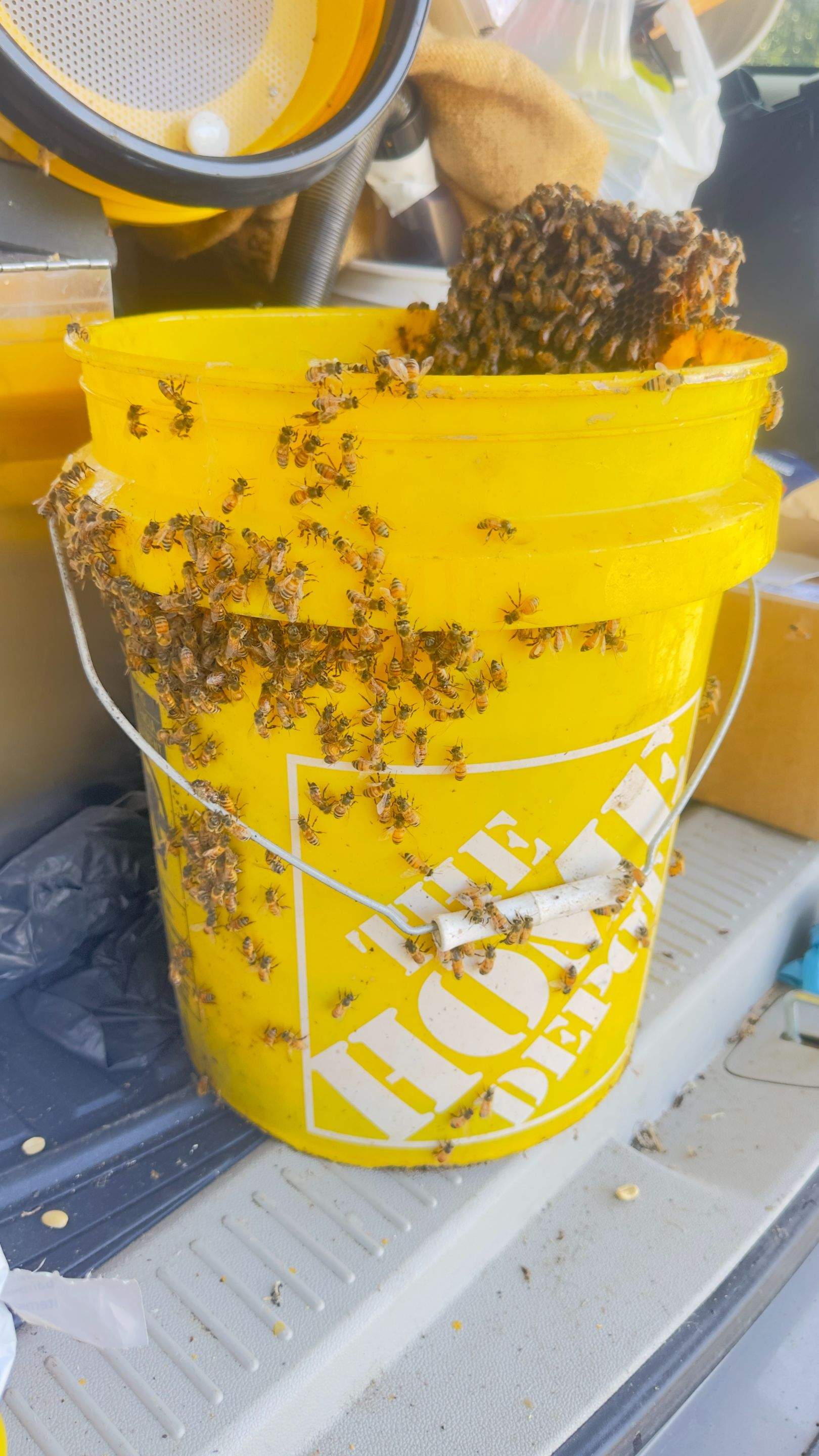 Old Faithful by Rockwall Honey Bee Company