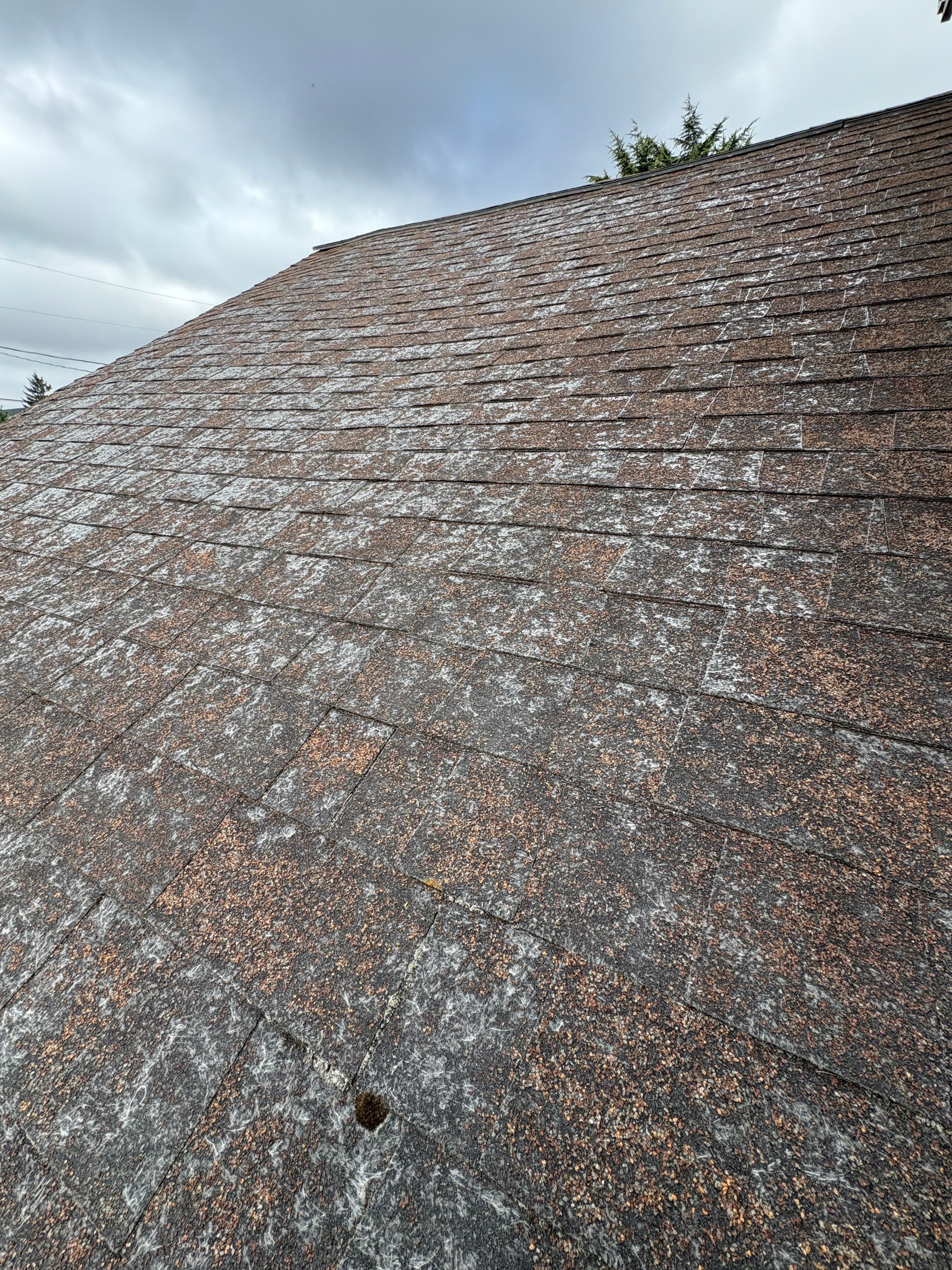 Reroof, Gutters, and Repair by Hawthorne General Construction