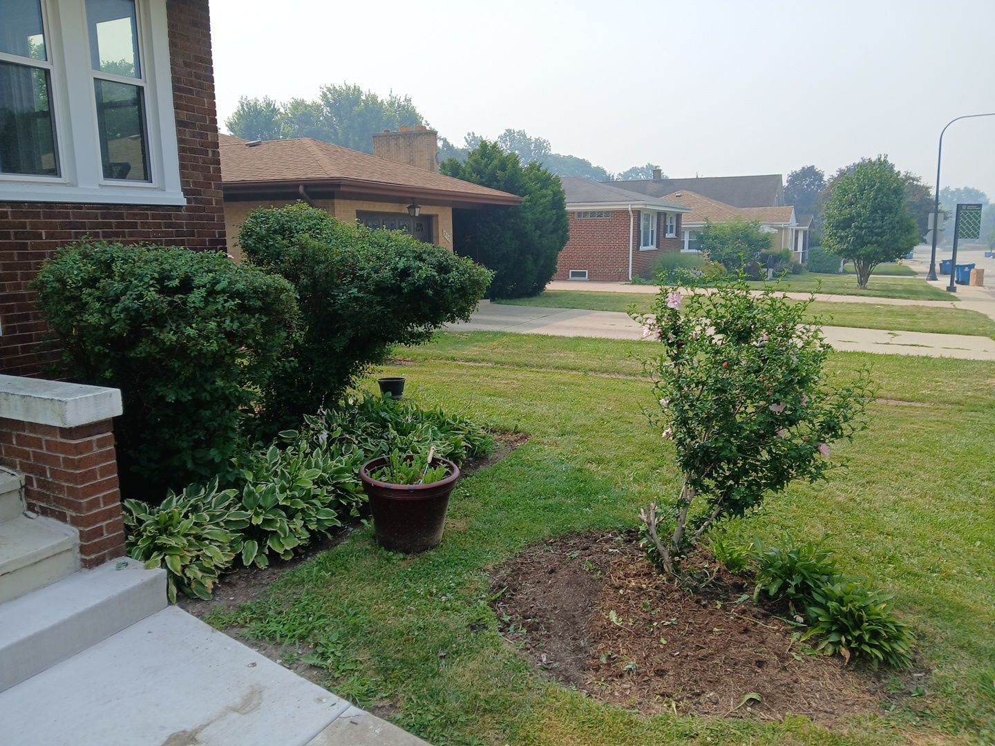 Veronkia S. - Mount Prospect, IL by A&N