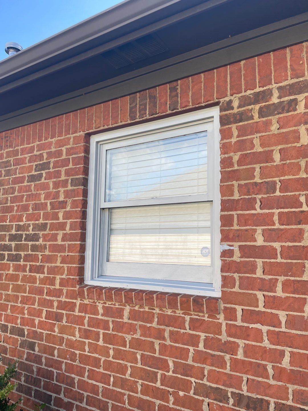 Downing Park - Paint by Pillar and Pine