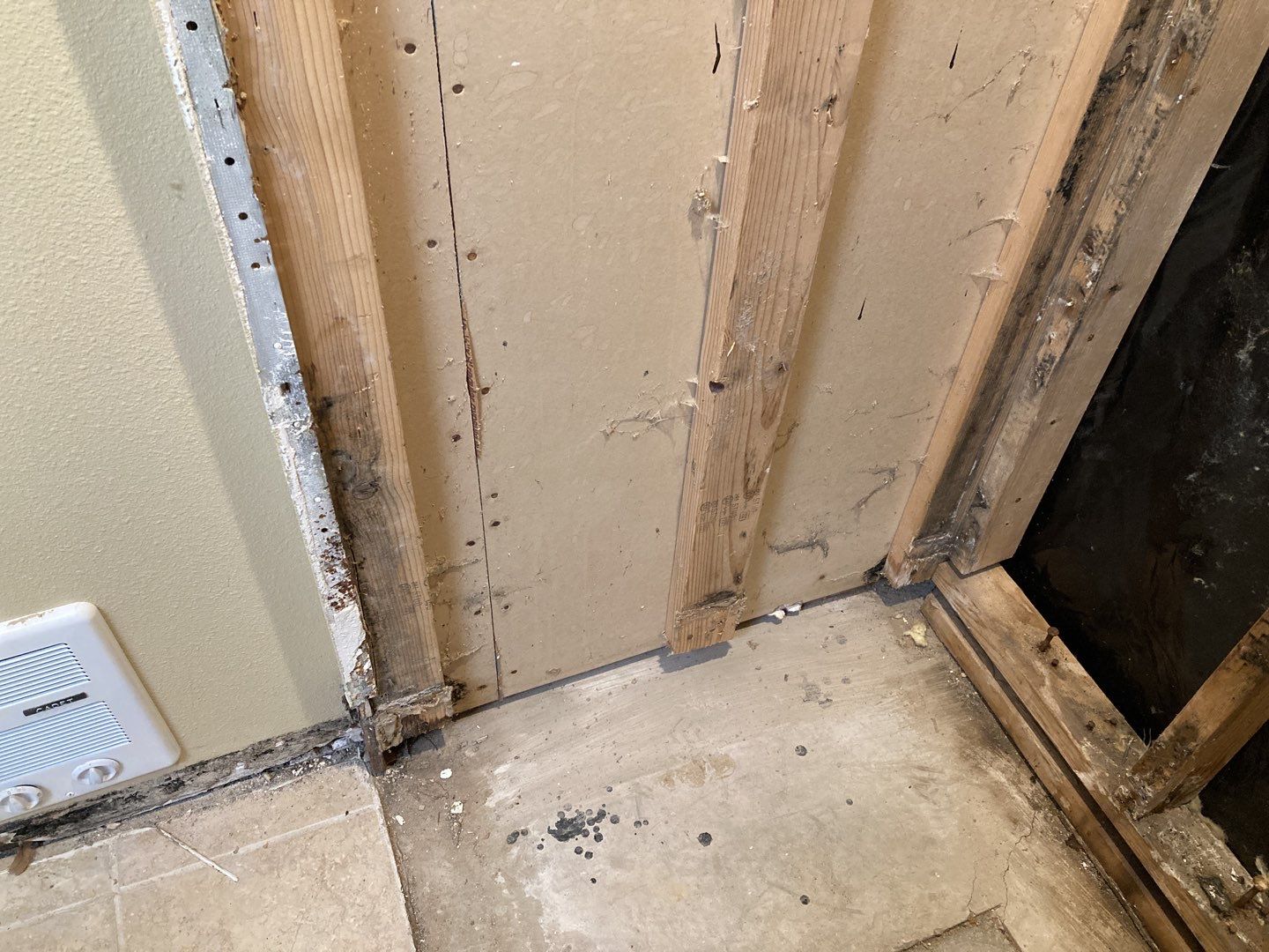 Mold Remediation by Accountable Home Services