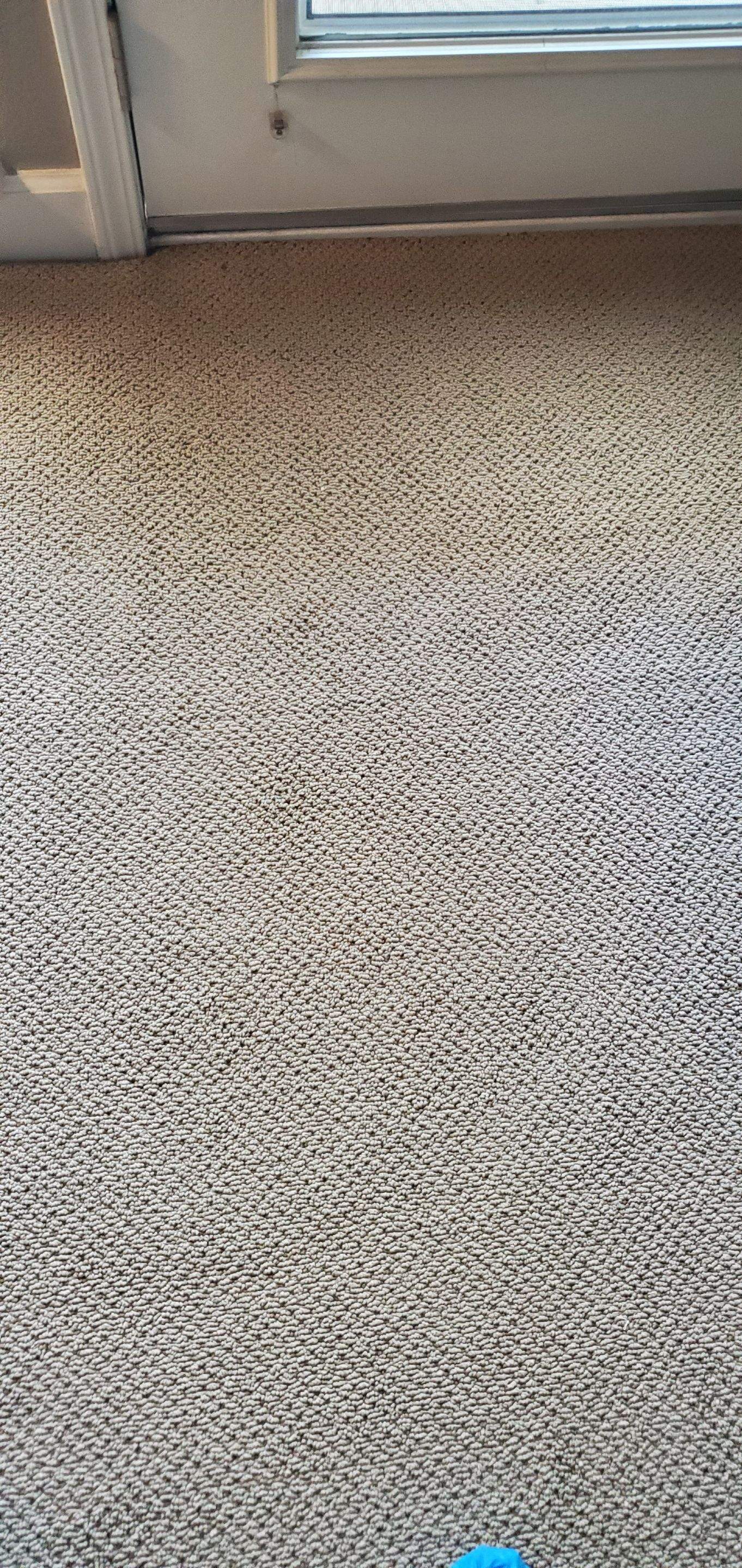 Spot Dyeing Carpet Sprayed by Bleach by Ardent Carpet Restore LLC