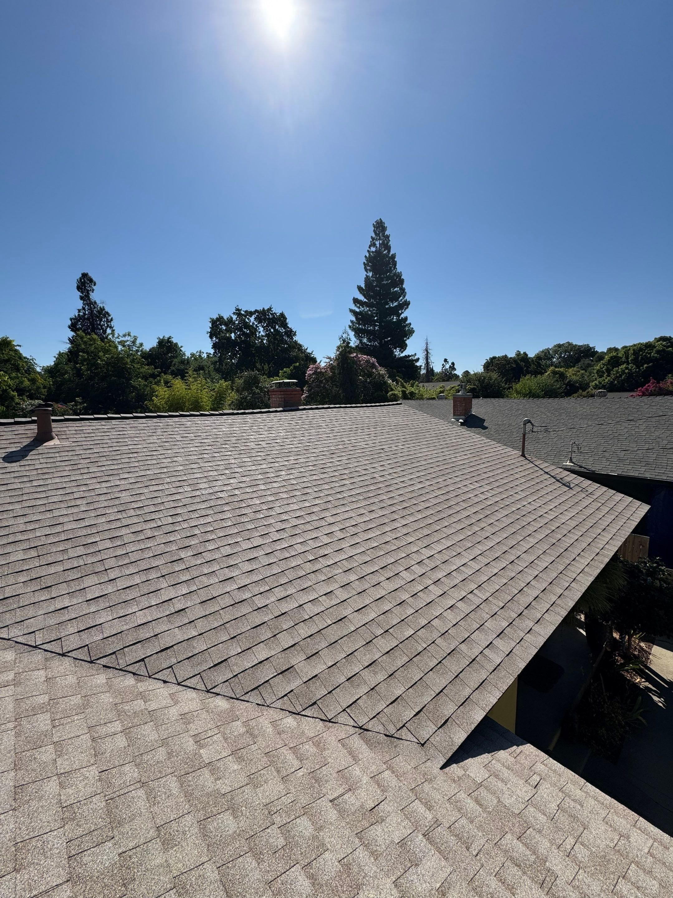 Chico Shingle by Butte Roofing Company License #567600