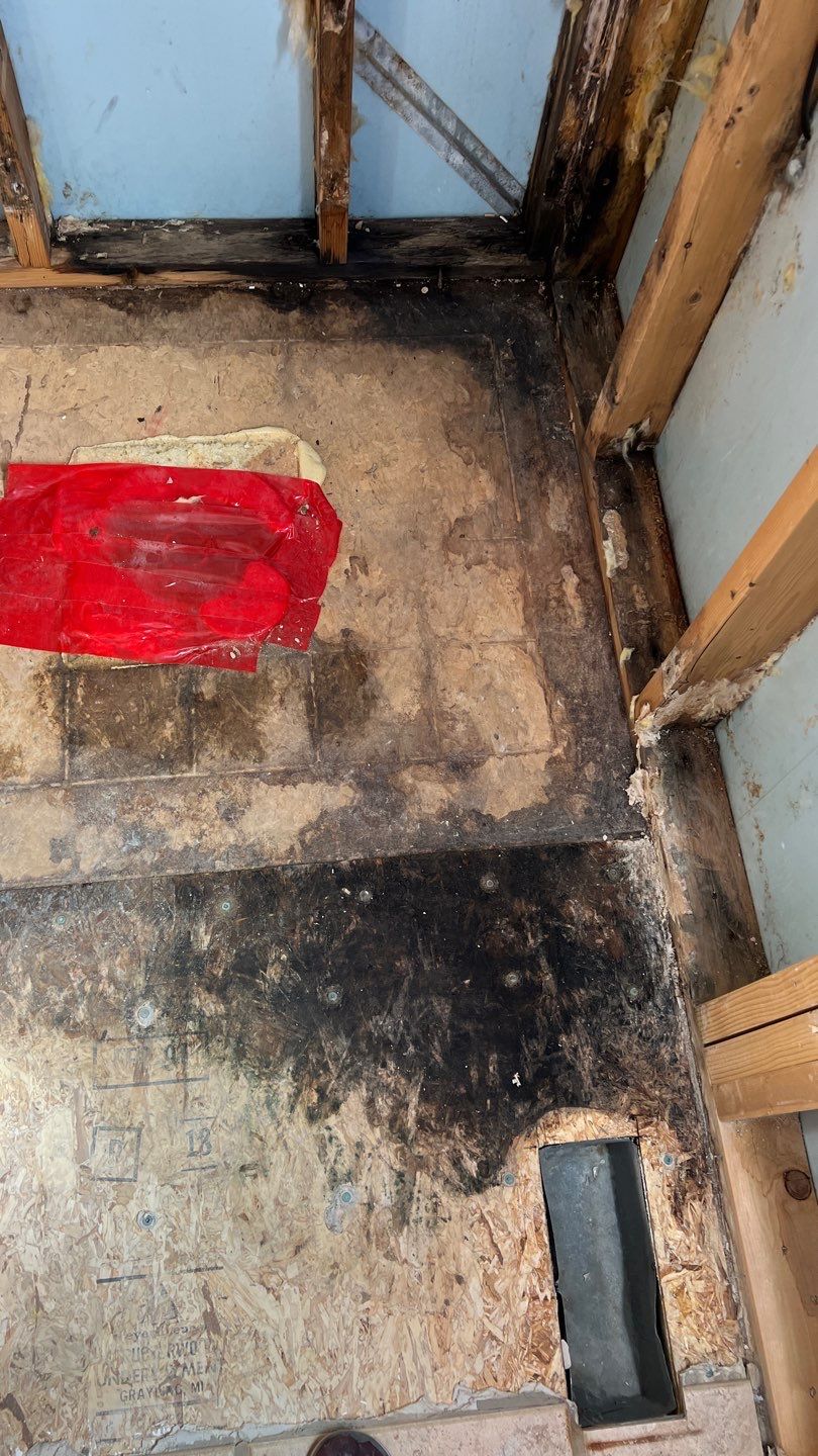 Water Damage and Mold Remediation by Accountable Home Services