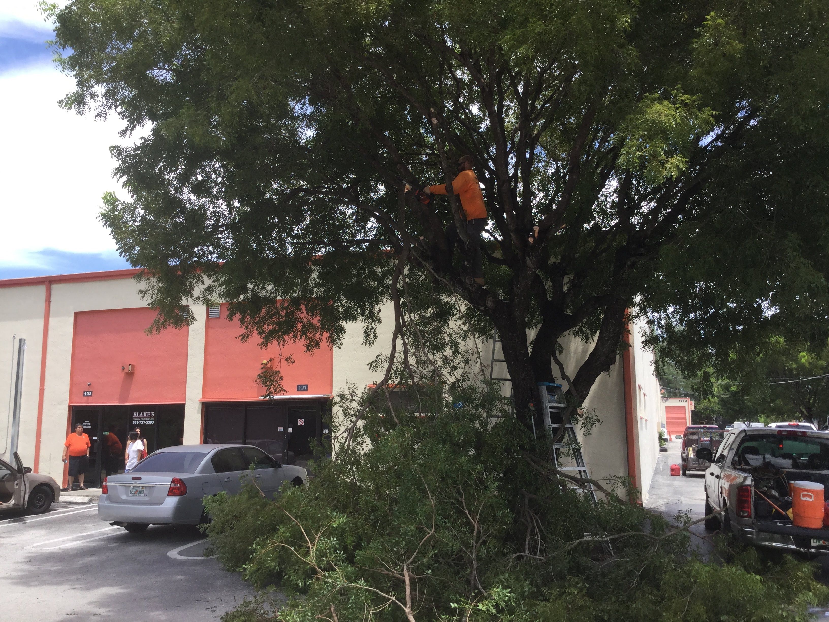 Commercial Tree Trimming & Debris Removal by
M.A.B. Landscaping & Property Maintenance
