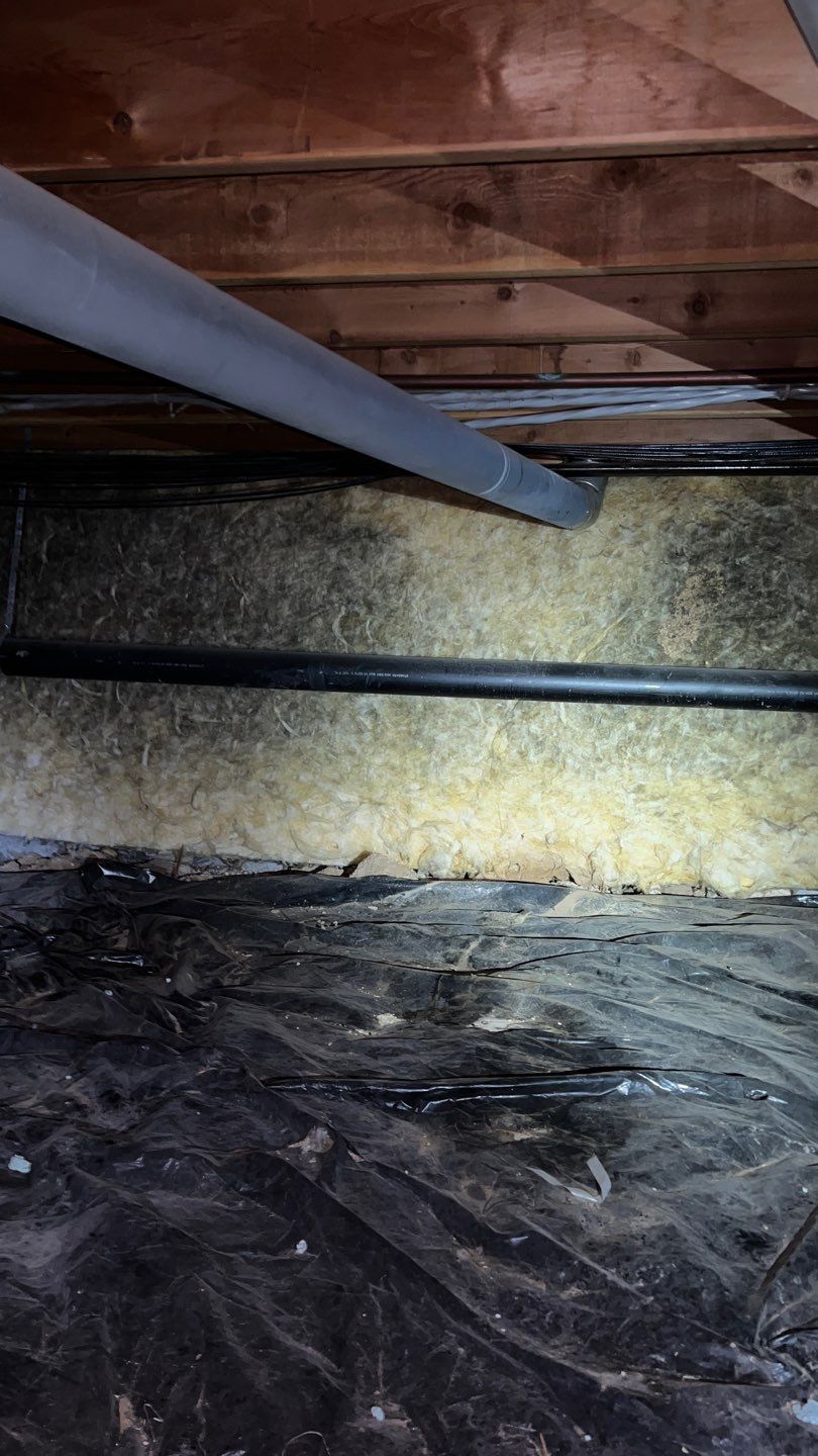 Mold Damage Project in Littleton by Accountable Home Services