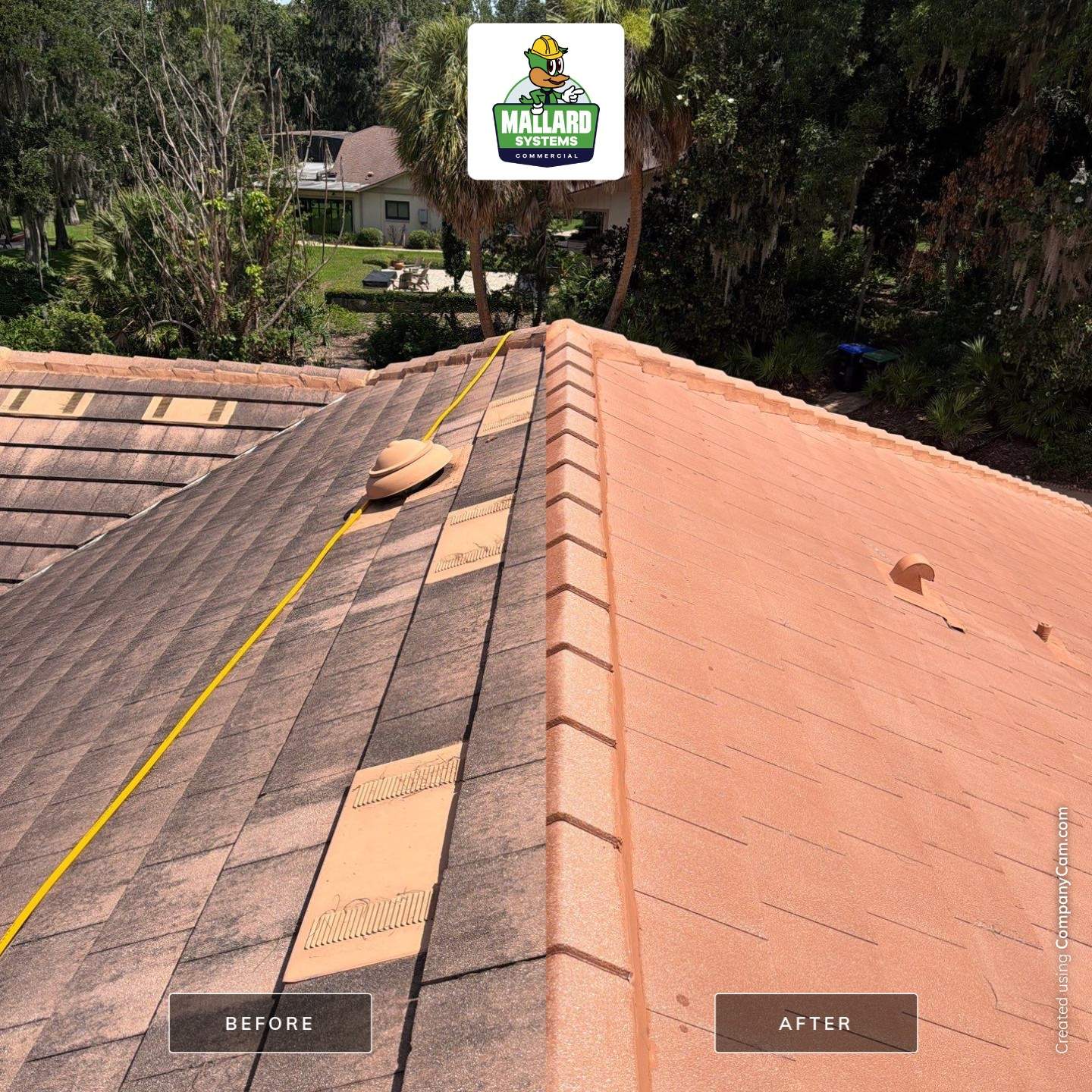 Tile Roof Cleaning and Exterior House Wash in Windermere by Mallard Systems