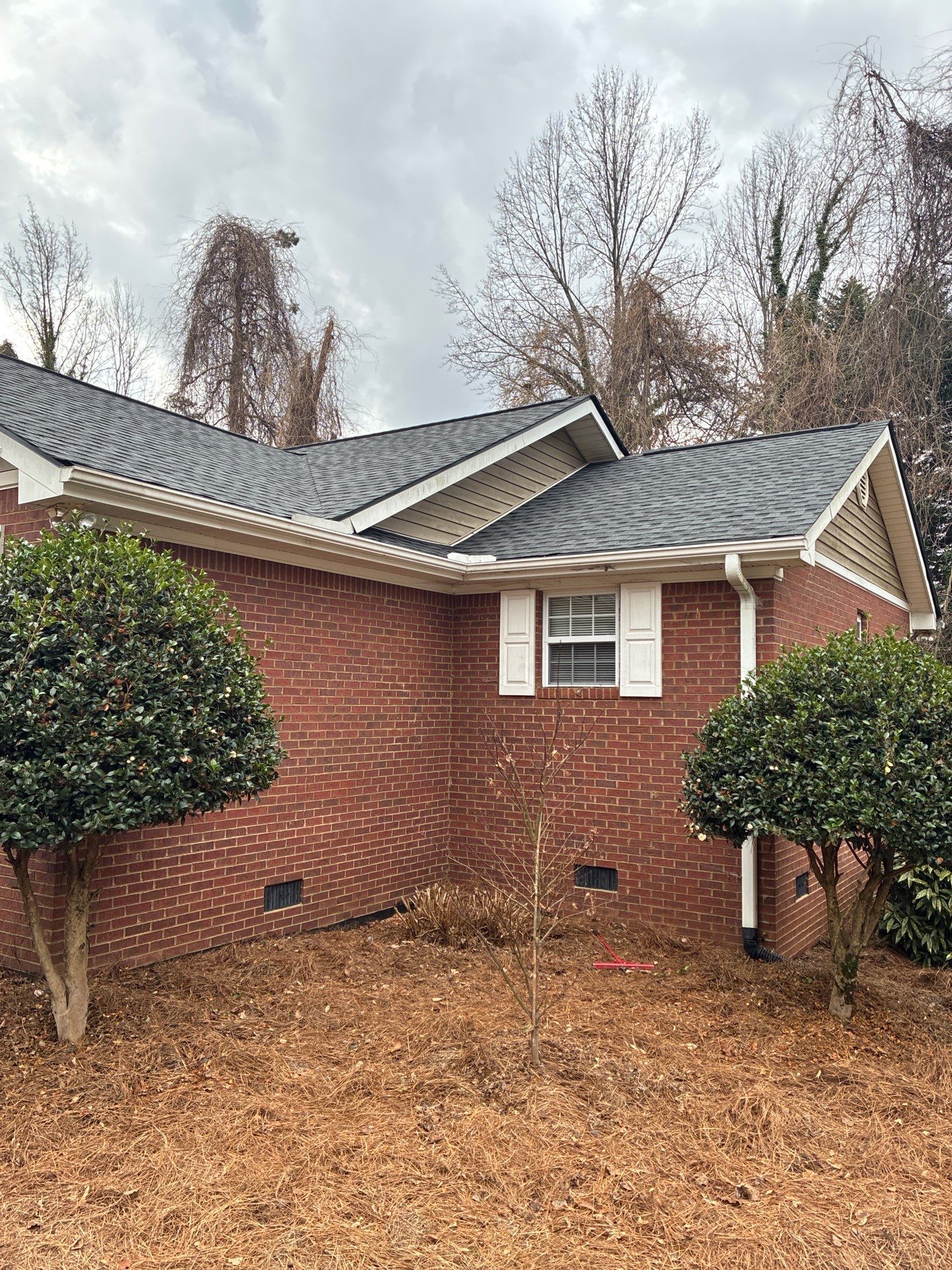 Susan Collins by United Contracting and Roofing