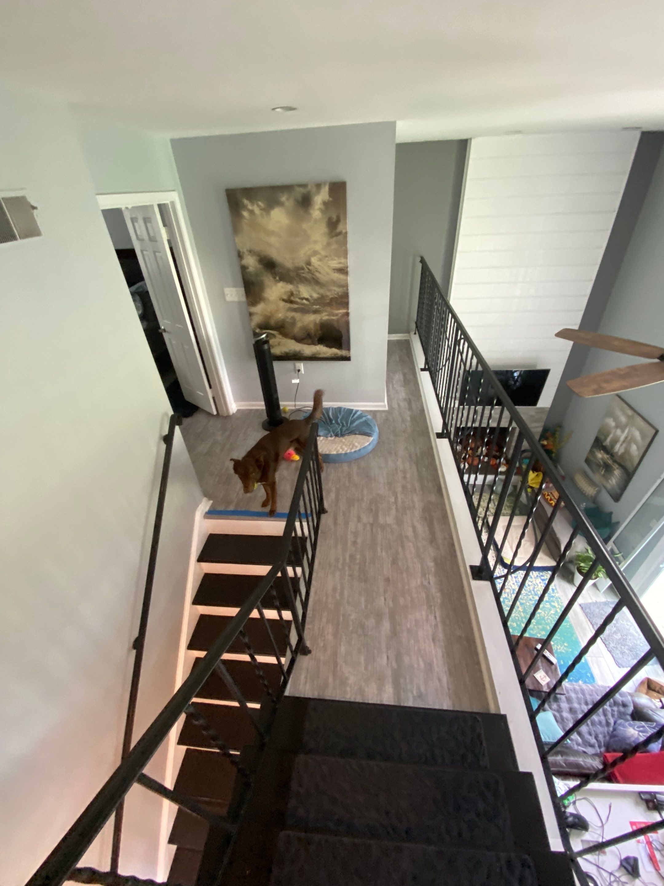 LVP flooring install by The Smet Companies, LLC