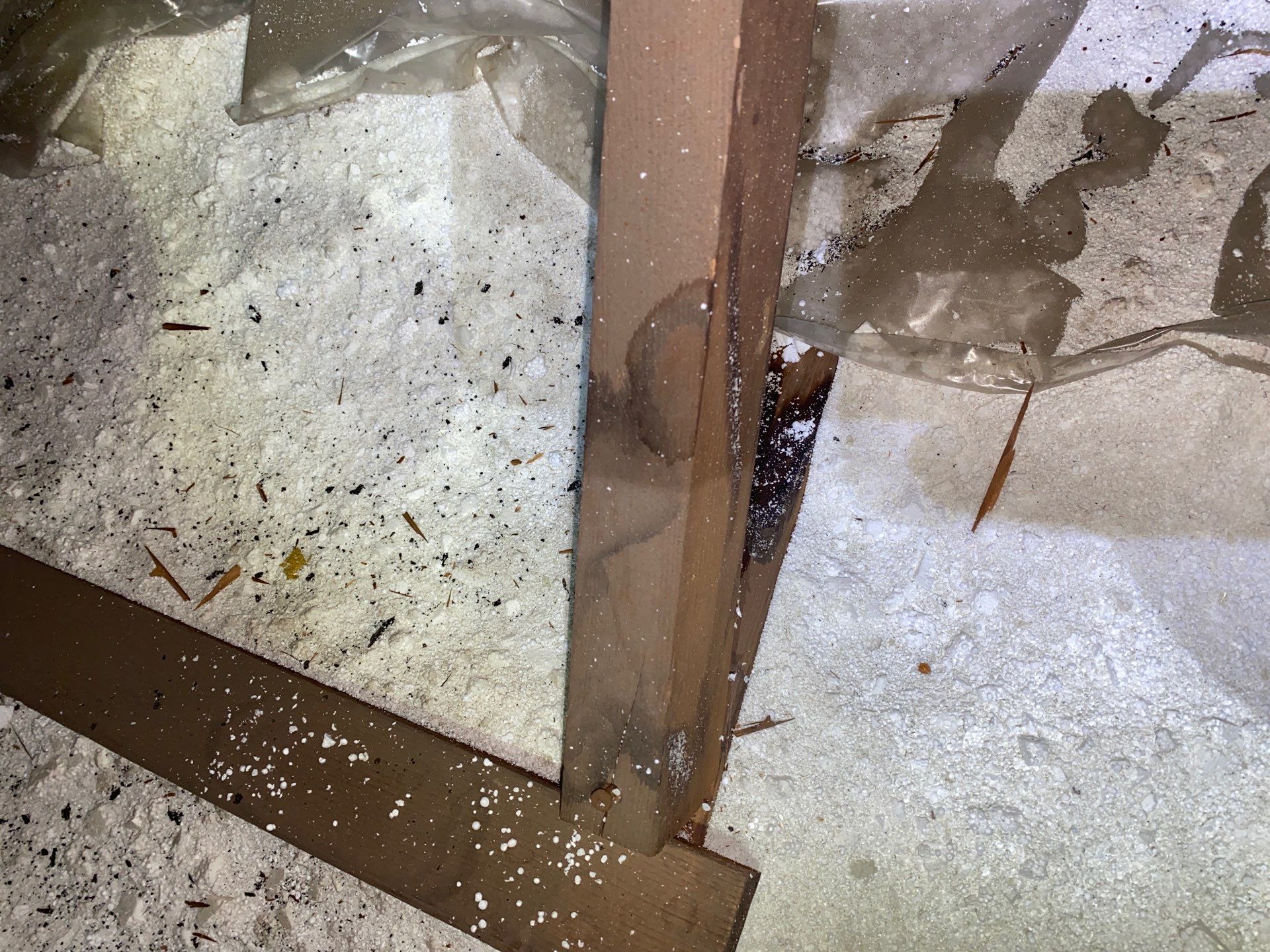 Rodent Clean Up and Attic Insulation by Home Environment Solutions