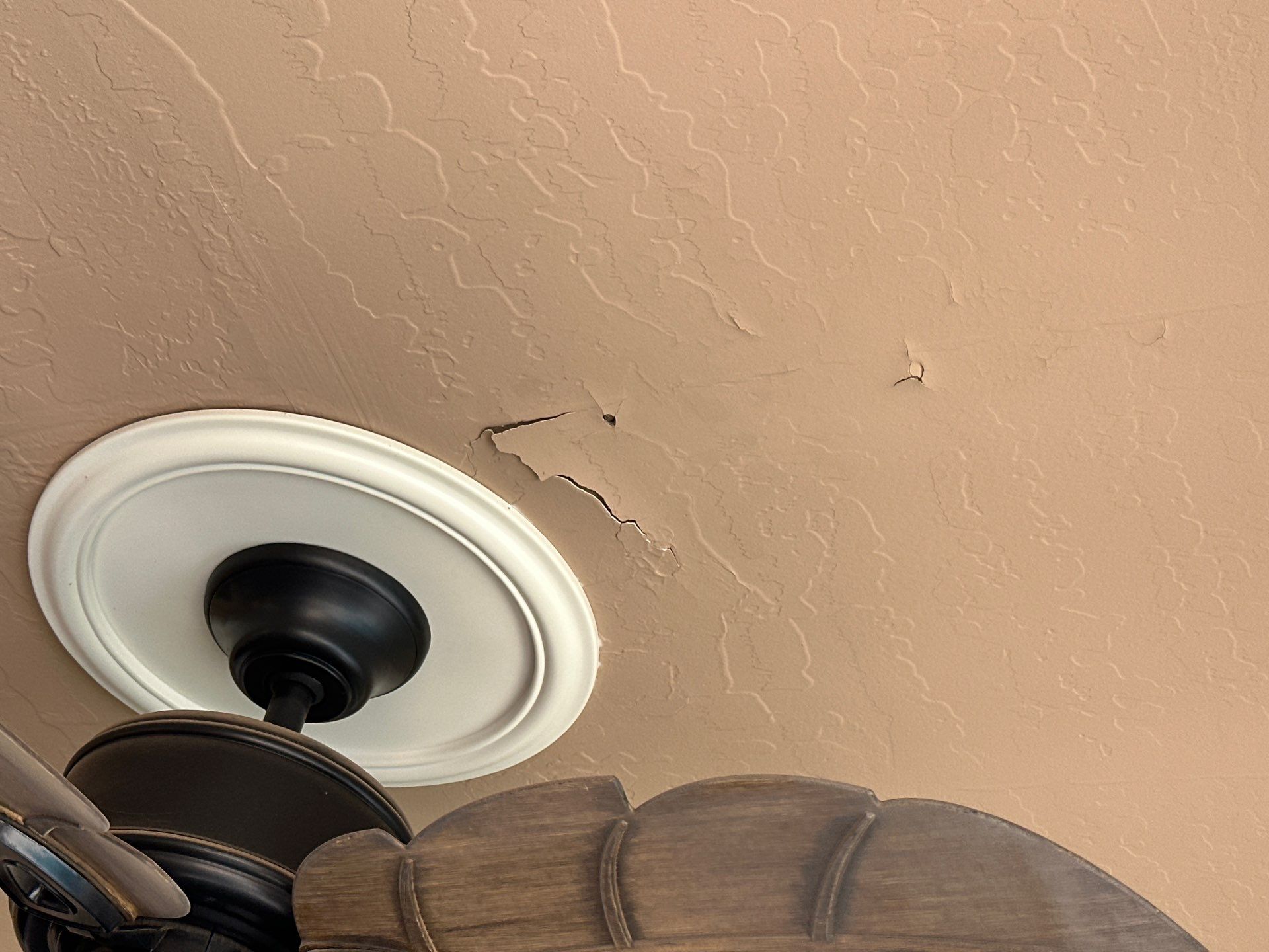 Exterior Painting - Glendale by Crash of Rhinos Painting & Garage Floors