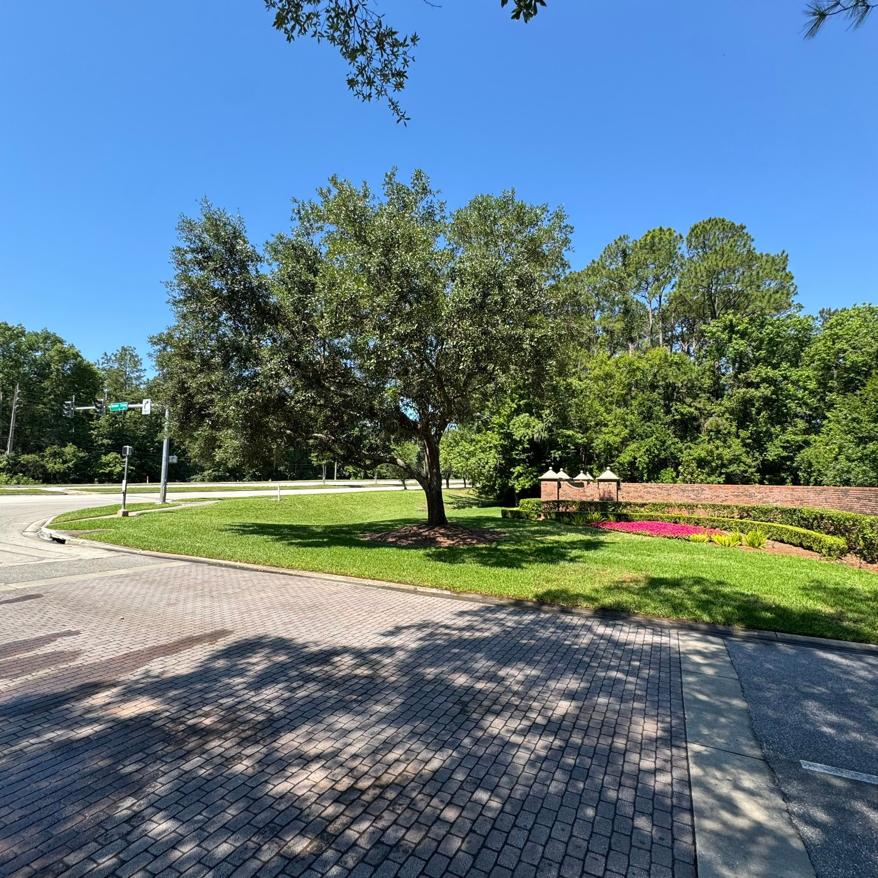 Deerwood Community | Tree Work by ProGreen Services