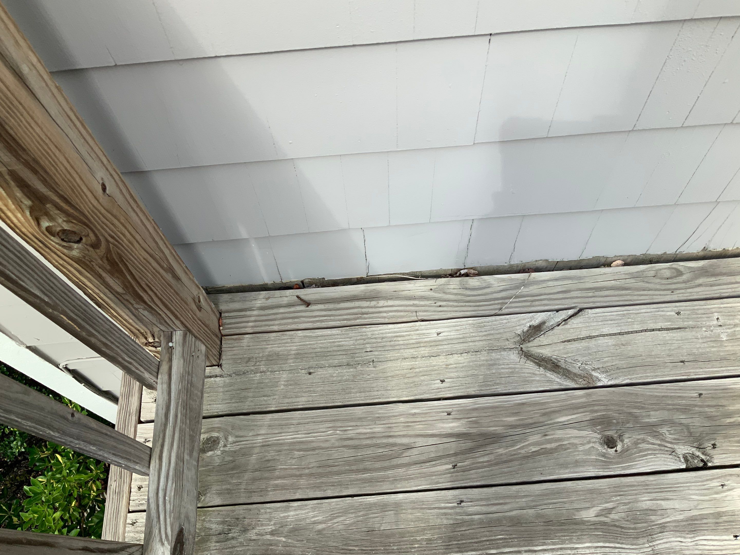 Deck Repair using Olympic Elite stains by Alpha Design Services