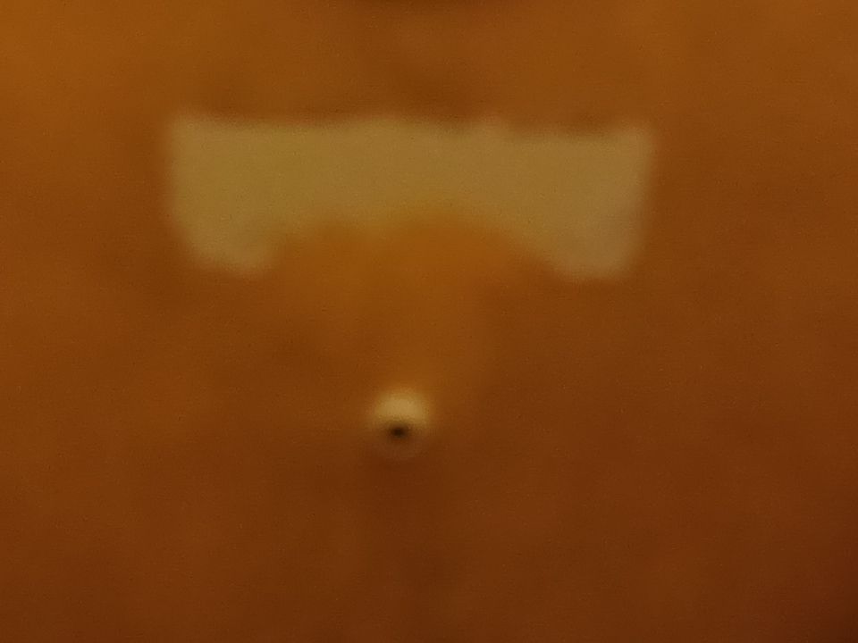 Project in Novi by EzDry Water Mitigation & Property Restoration